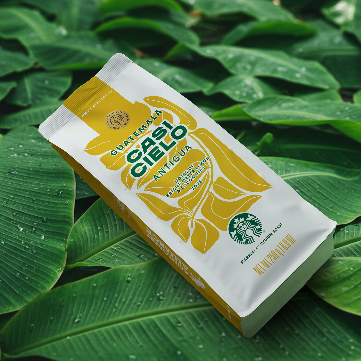 SBUX Pouch_08 Casi_leaf copy.png
