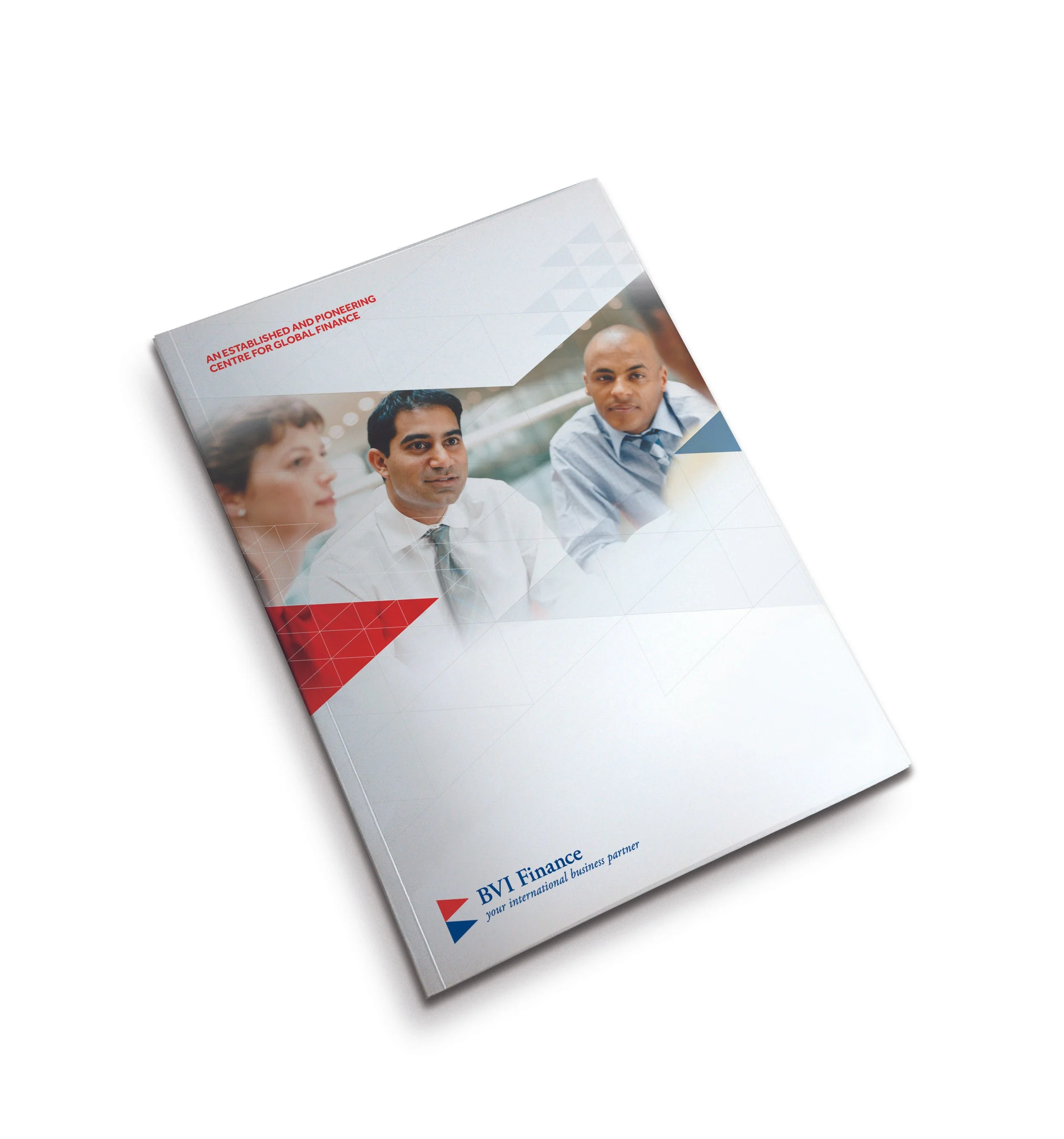 BVI_Brochure_front 2.jpg