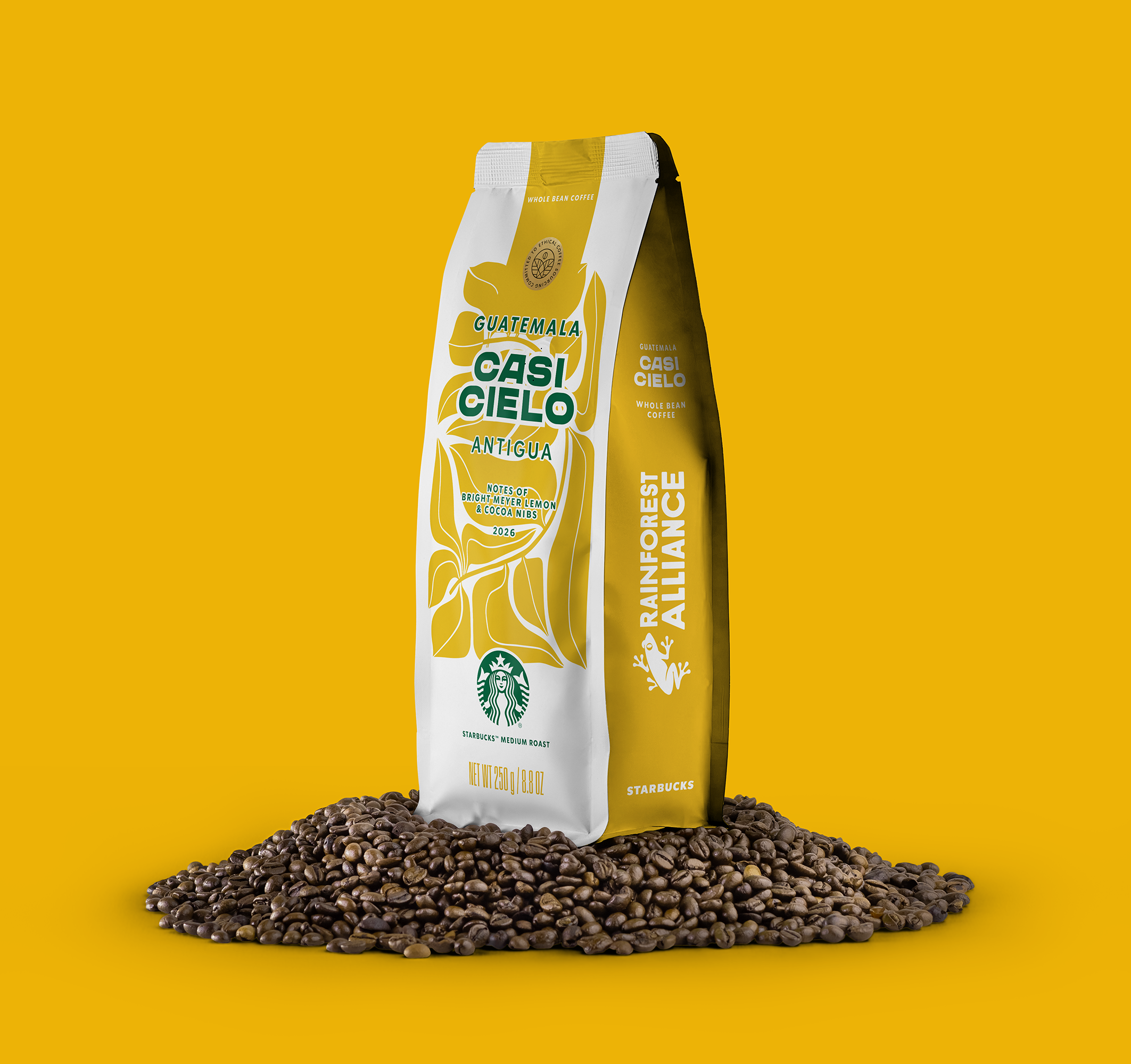 SBUX Pouch_10_Casi copy.png