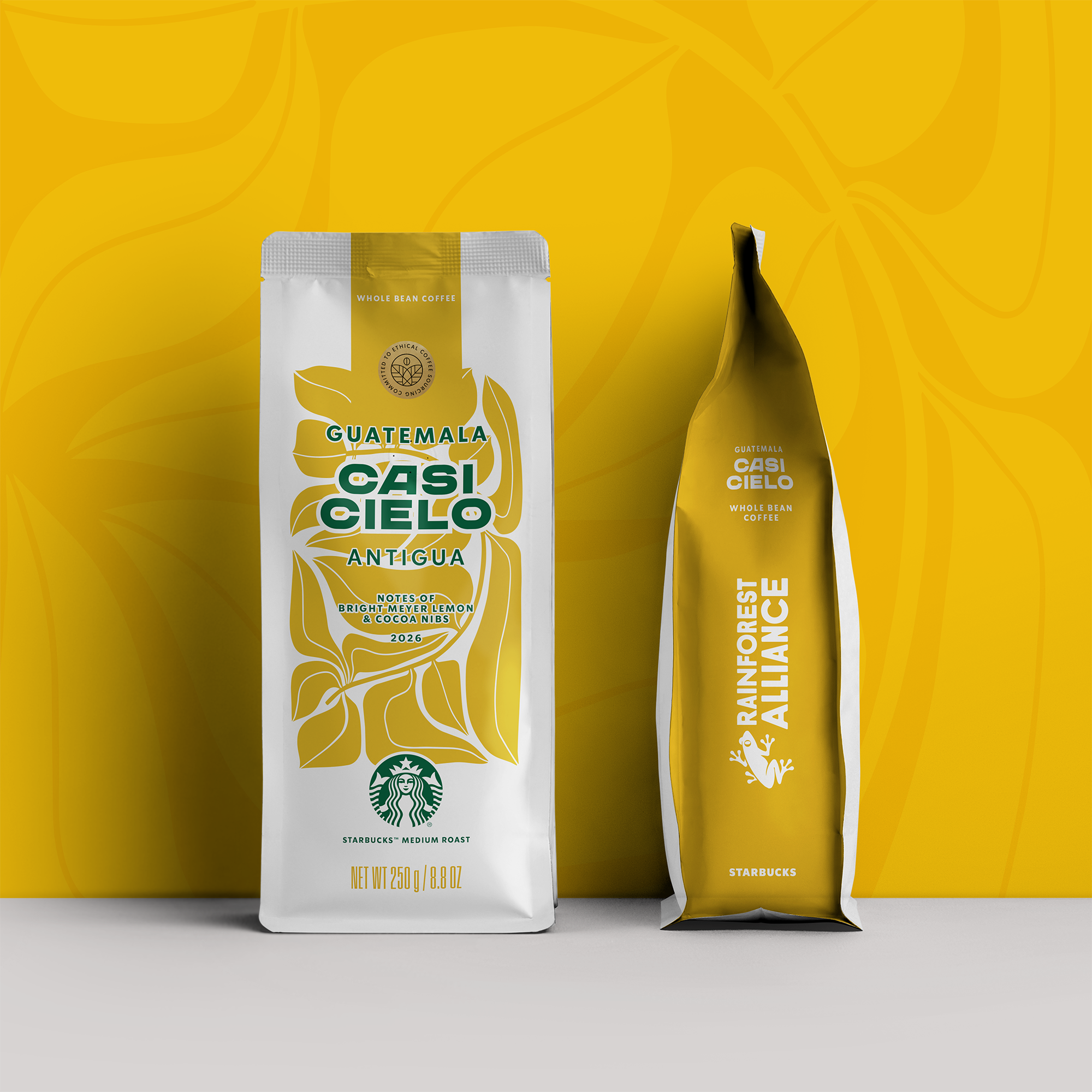 SBUX Pouch_04_Casi copy.png