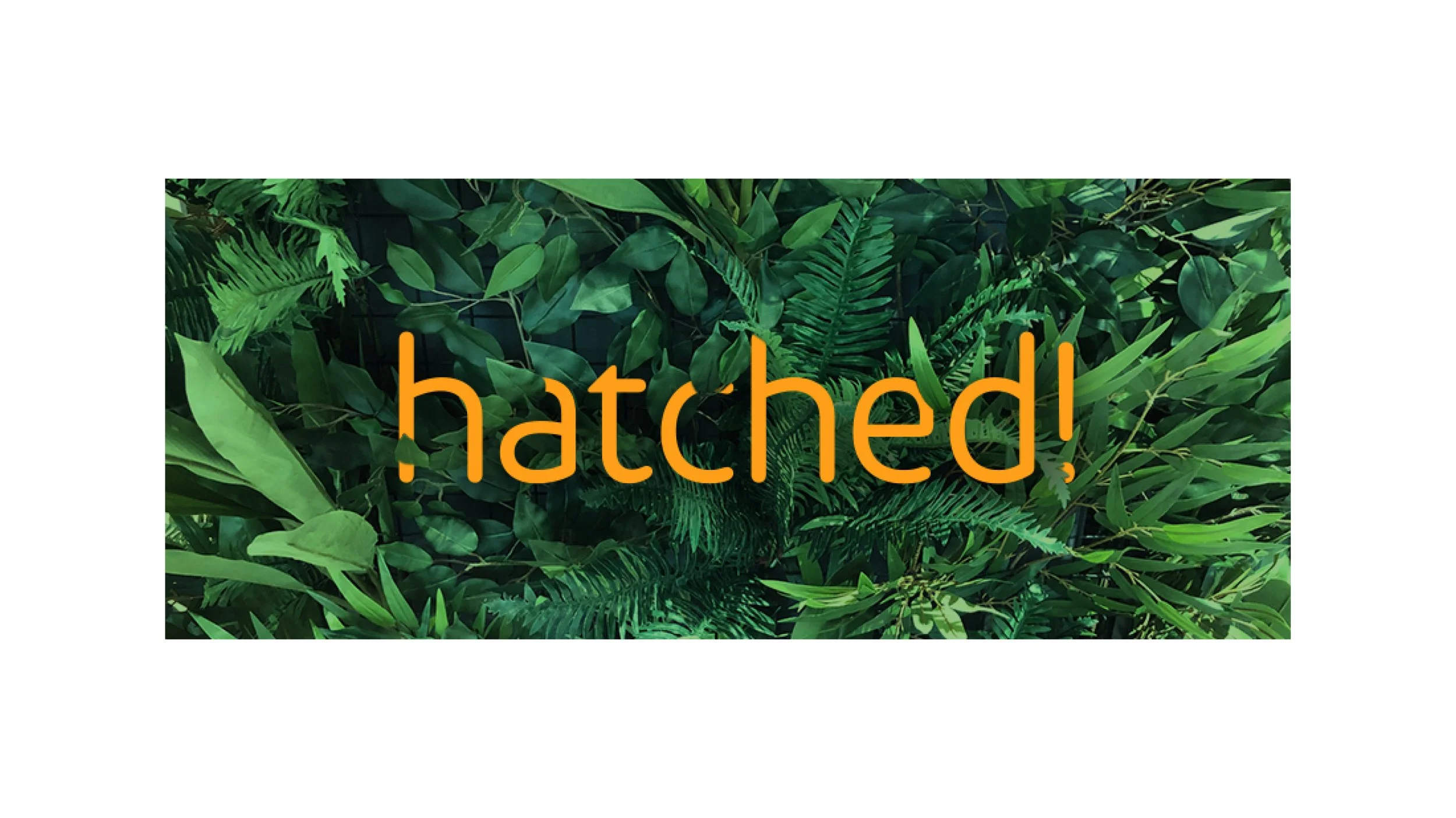 intu NEST_comms7.jpg