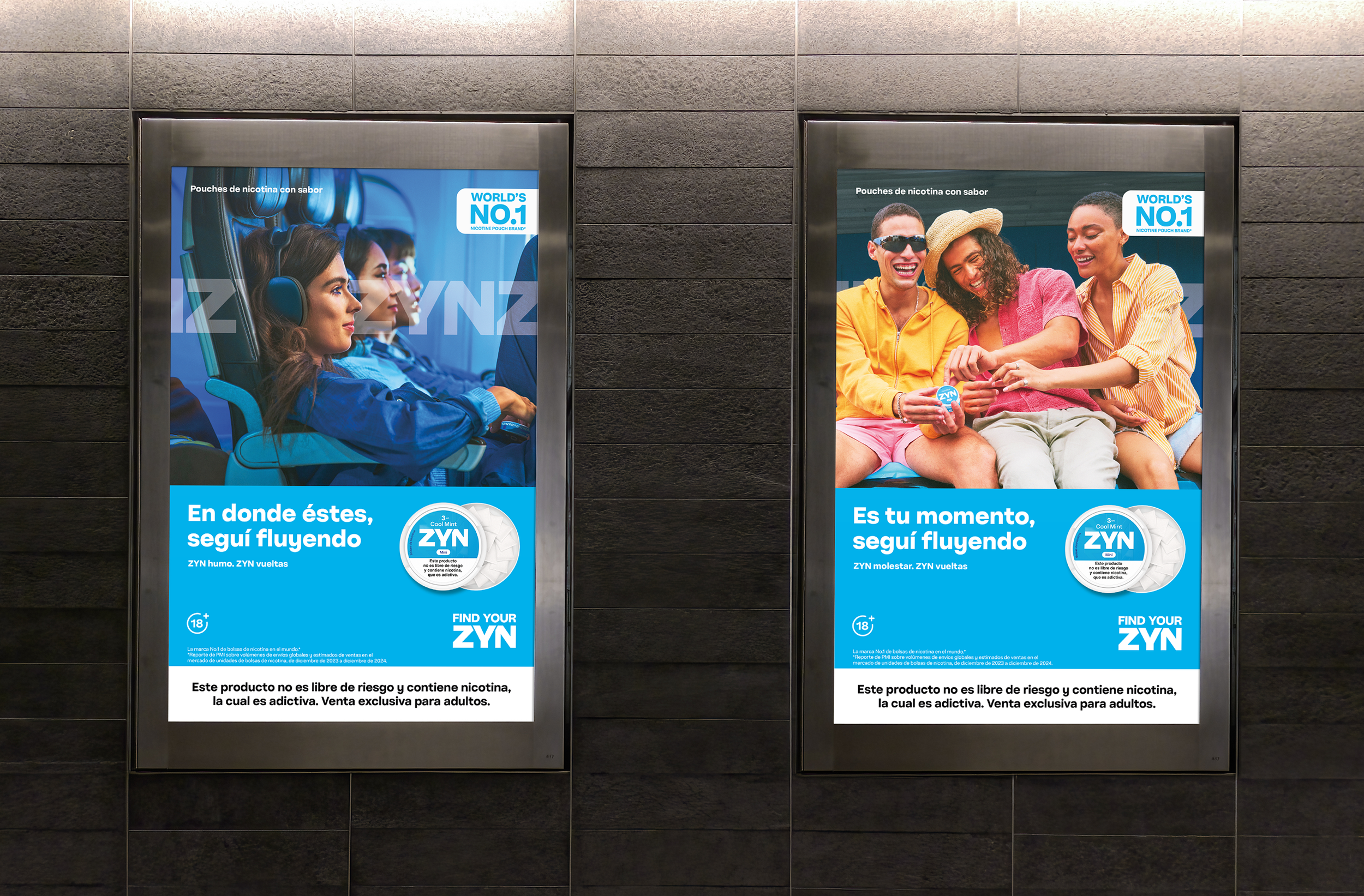 ZYN ARG_6 sheets x 2 copy.png