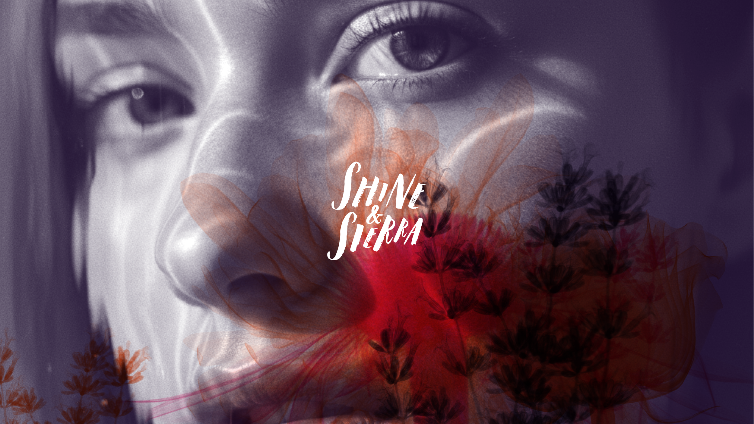 Transforming transparency into visual storytelling