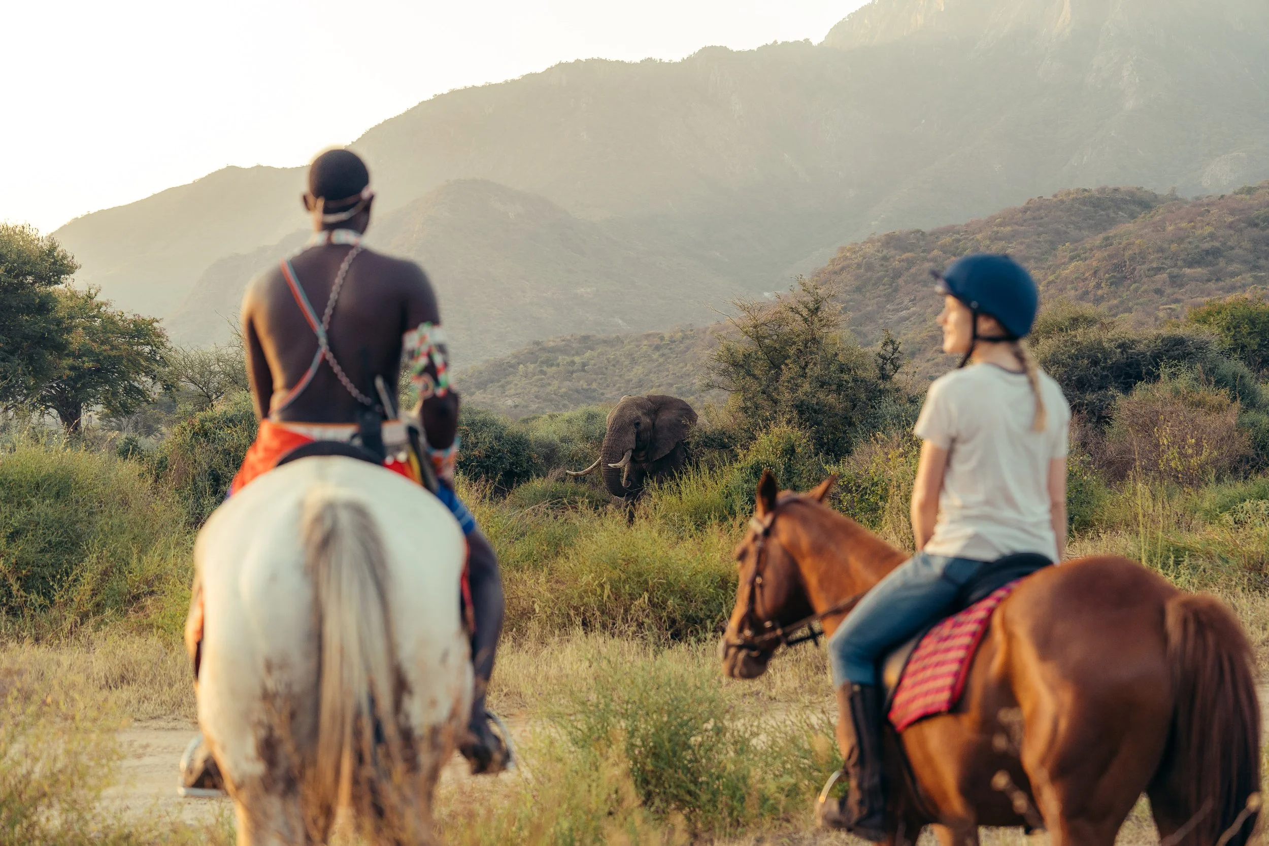 Two women riding horses through a savannah landscape, with an elephant in the distance and mountains in the background during sunset.