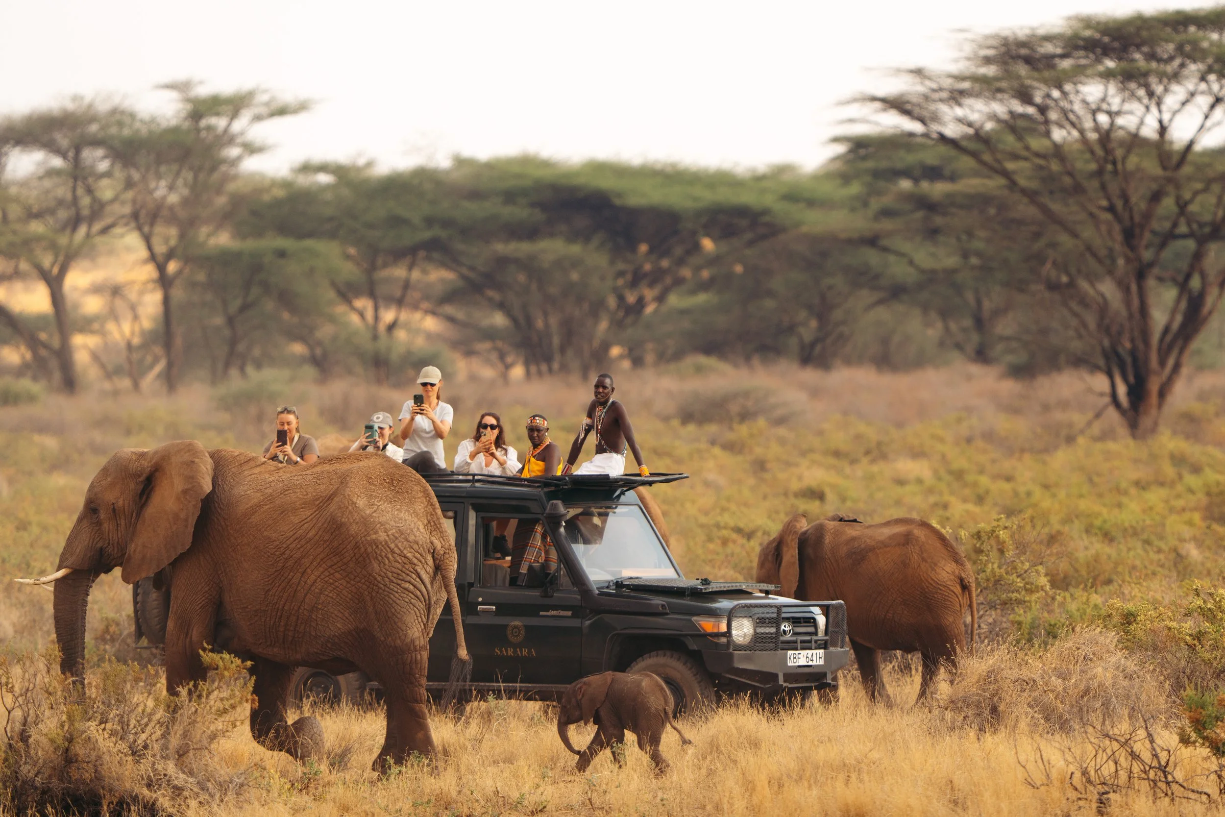 Tourists riding in an open-top safari vehicle among elephants and a dry savannah landscape with sparse trees.