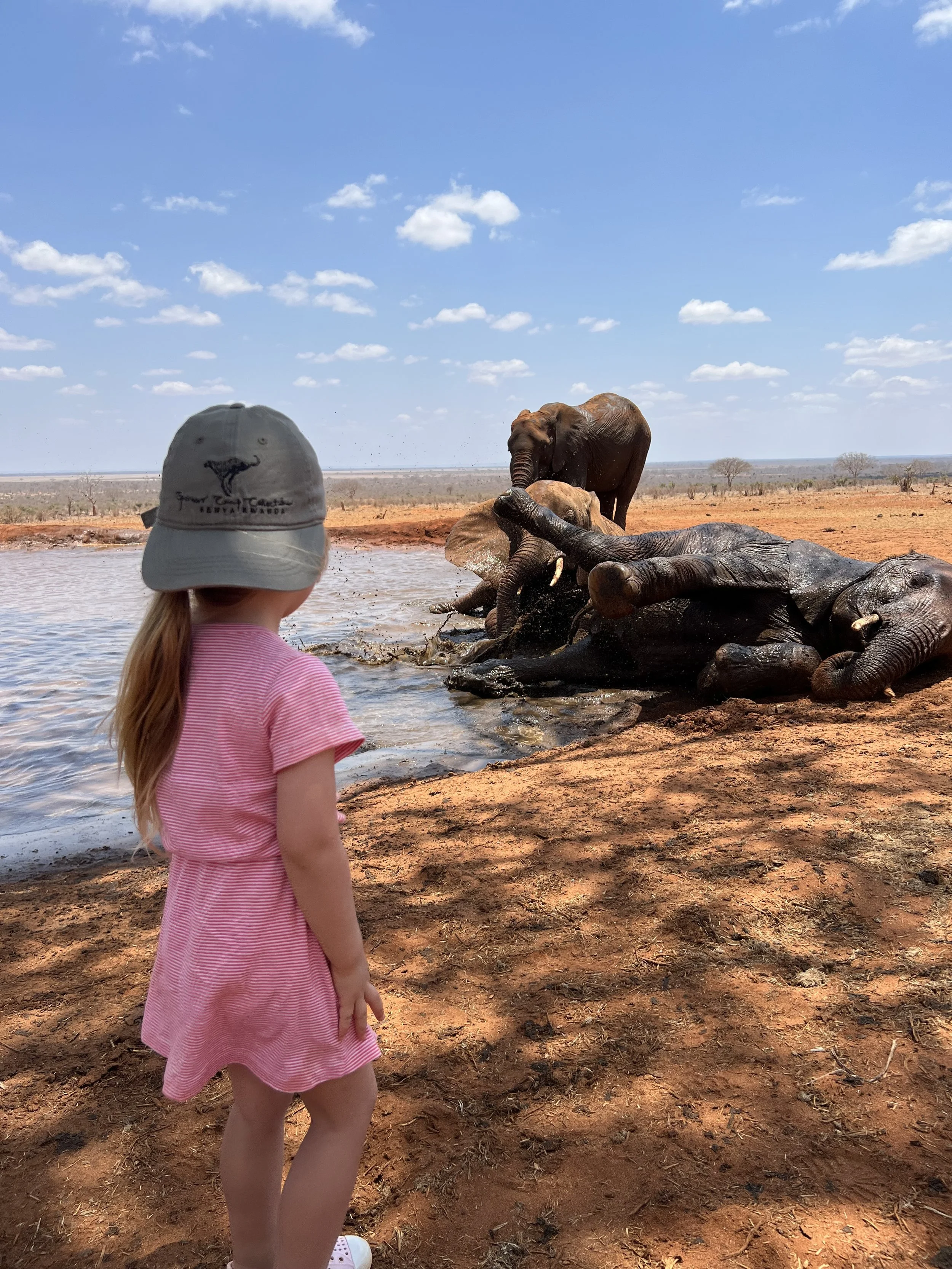A young girl with long red hair, wearing a gray hat and pink dress, watching elephants at a watering hole in a dry, open landscape under a partly cloudy sky.