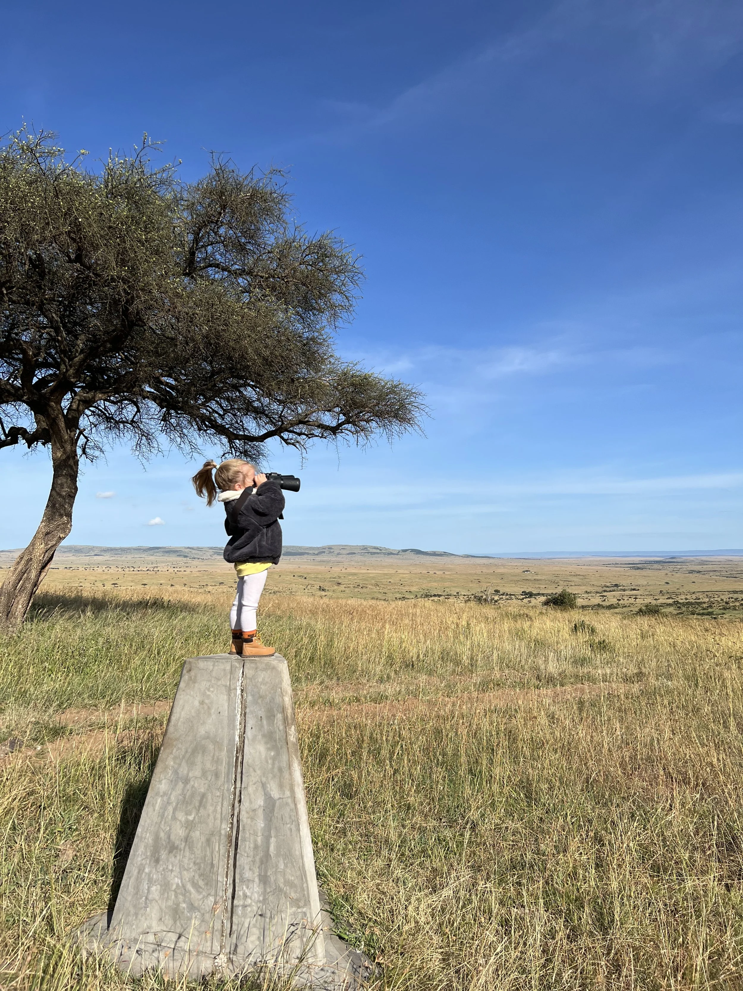 A young girl stands on a concrete monument in a vast grassy plain, looking through binoculars toward the horizon beyond a tree under a blue sky.