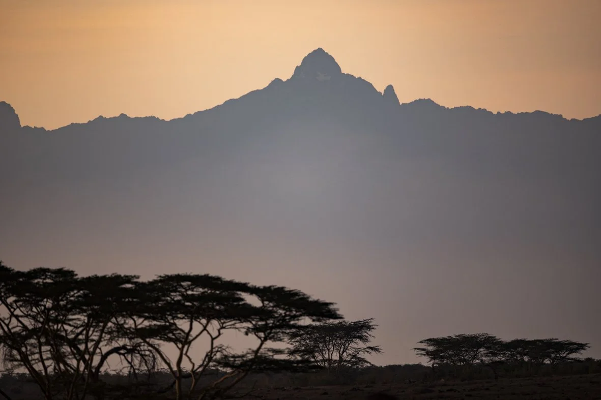 Silhouette of acacia trees in front of a mountain at sunset.