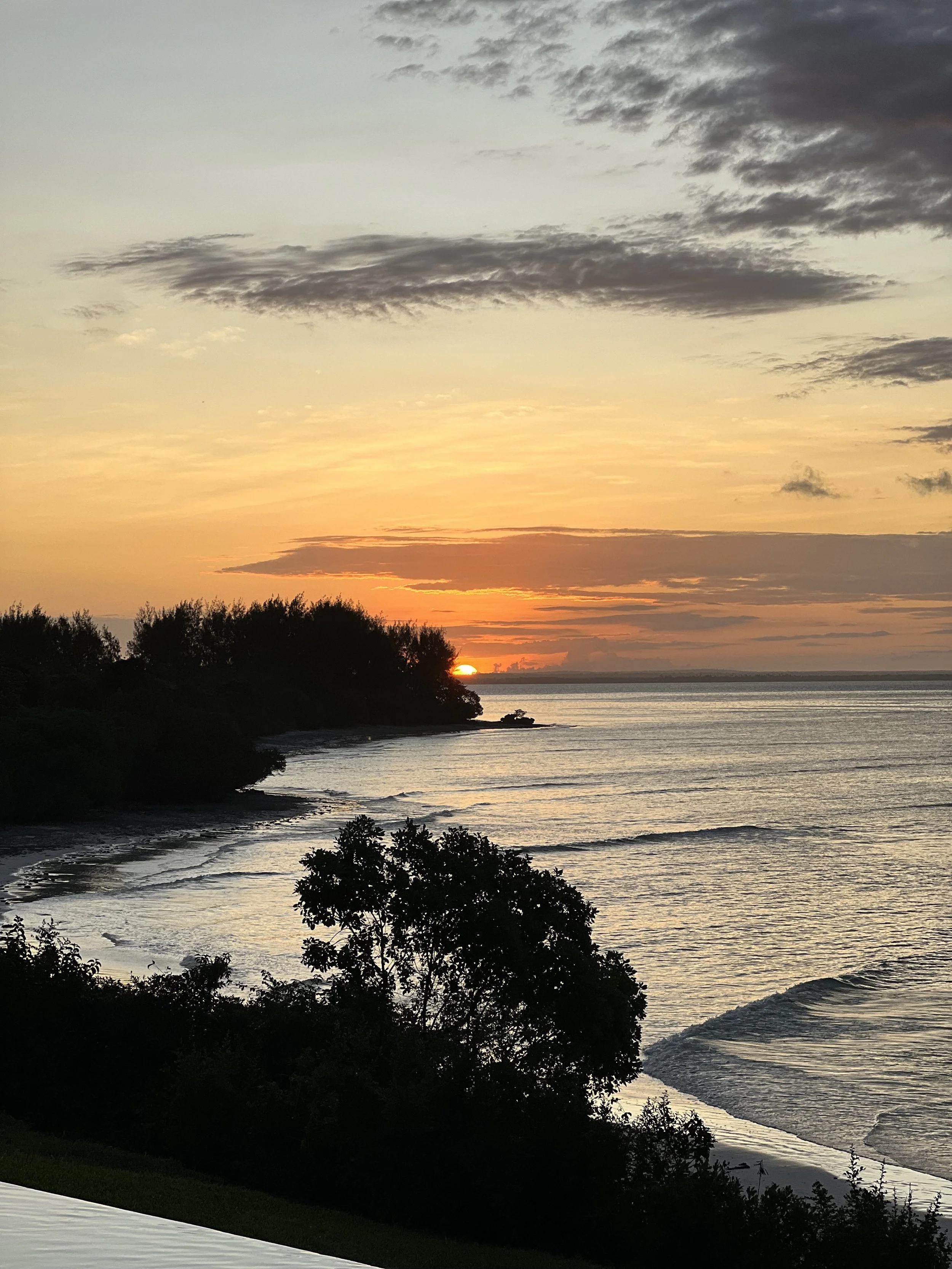 Sunset over a beach with trees in the foreground, gentle waves in the water, and a colorful sky with clouds.