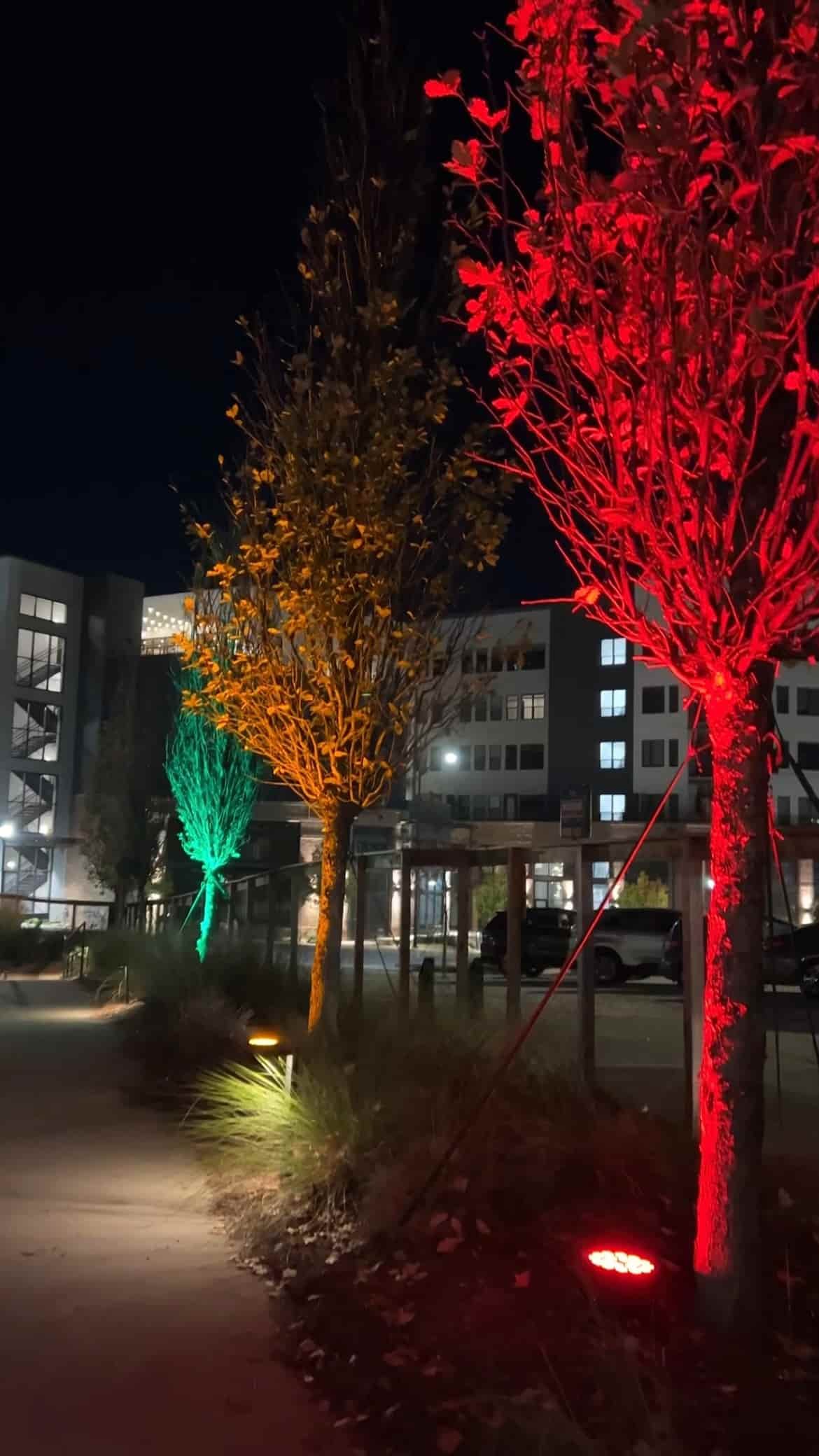 Nighttime scene of trees illuminated with colorful lights in green, yellow, and red, at Westside Motor Lounge.
