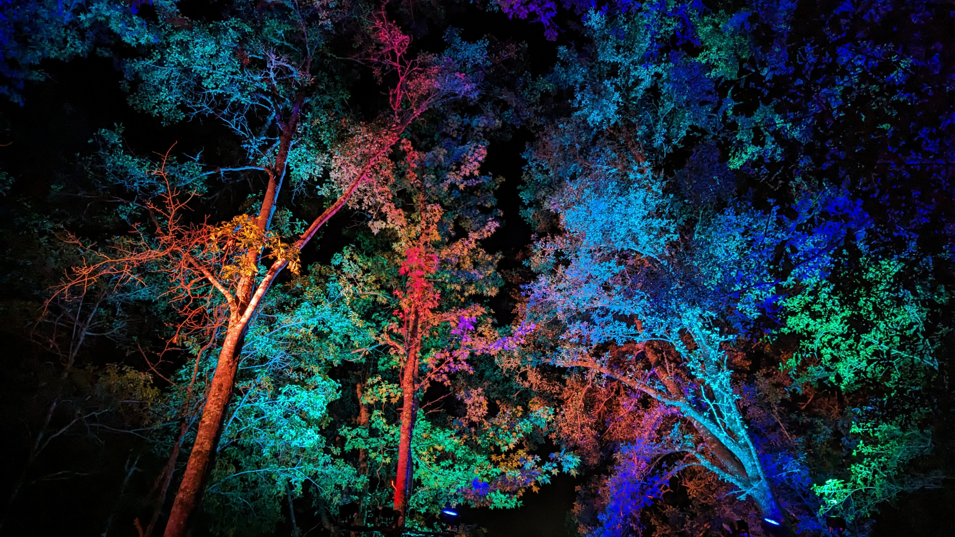 Temporary lighting installation for a festival in Florida called "Solfest"