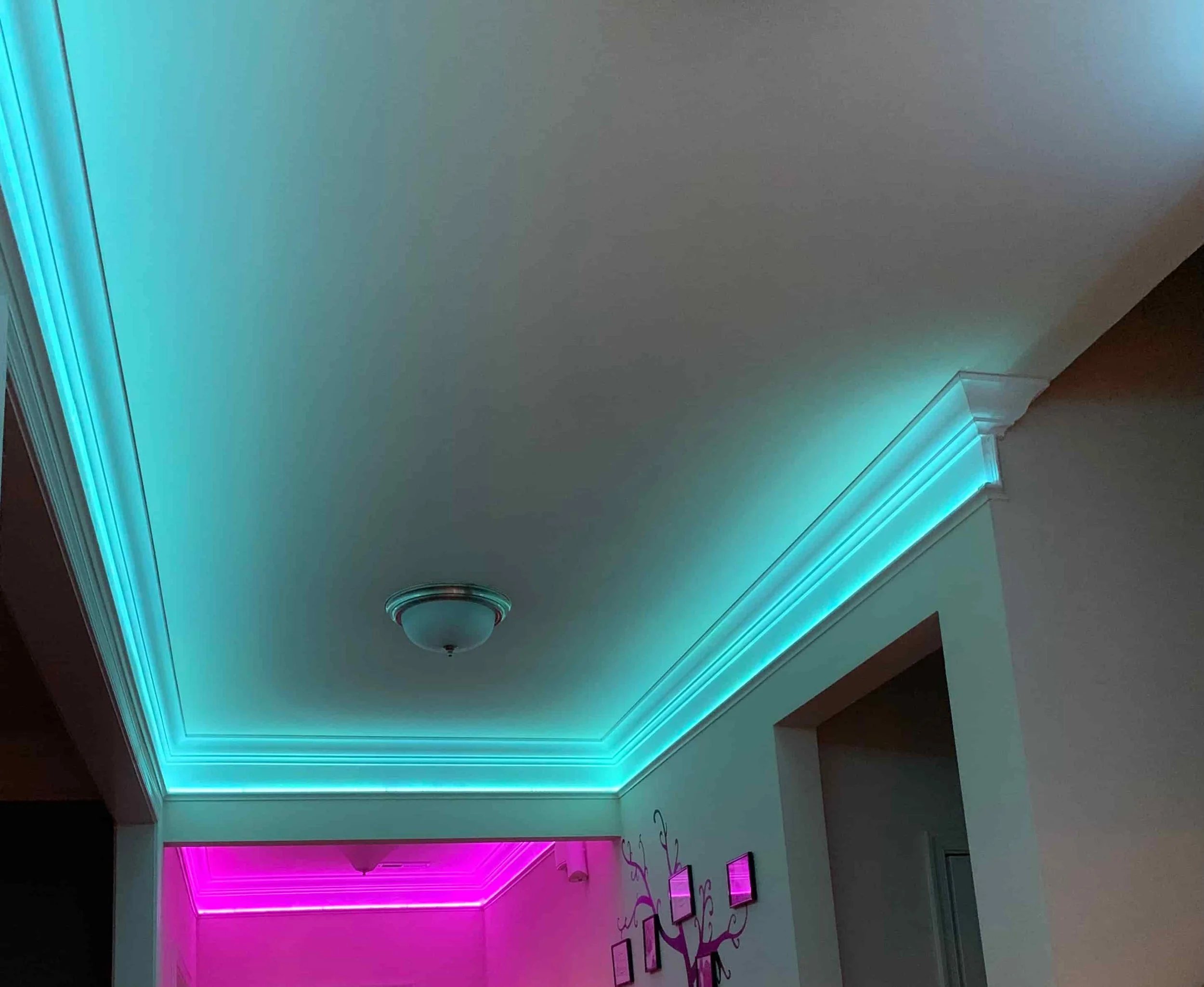 Ceiling moulding trim with turquoise and pink LED strip lighting. 