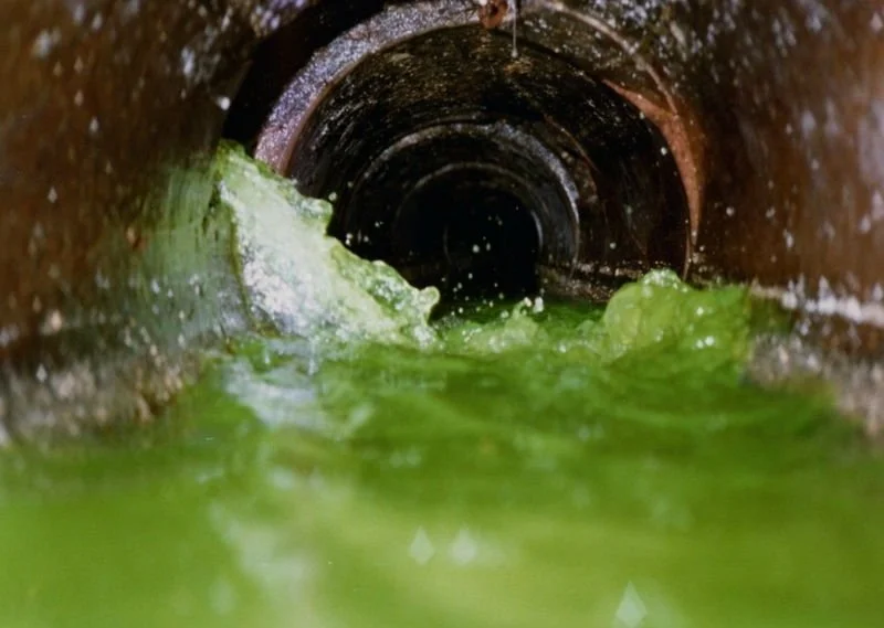 Has Your Home in Rocky River, Bay Village, Westlake, or Fairview Park Failed the Sewer Dye Test?