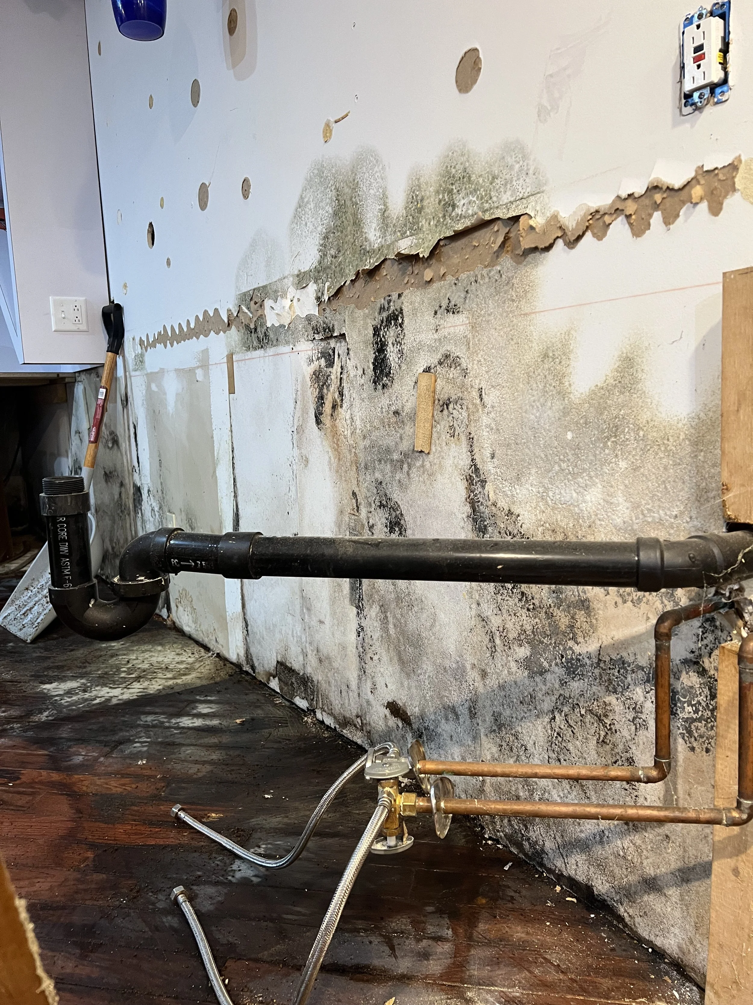 Kitchen or utility room wall with black mold damage, peeling drywall, exposed pipes, and removing plumbing equipment.