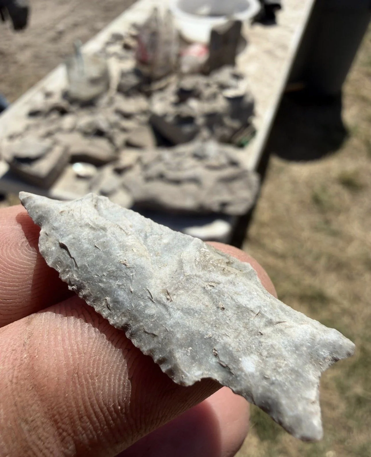image5 (1).jpeg