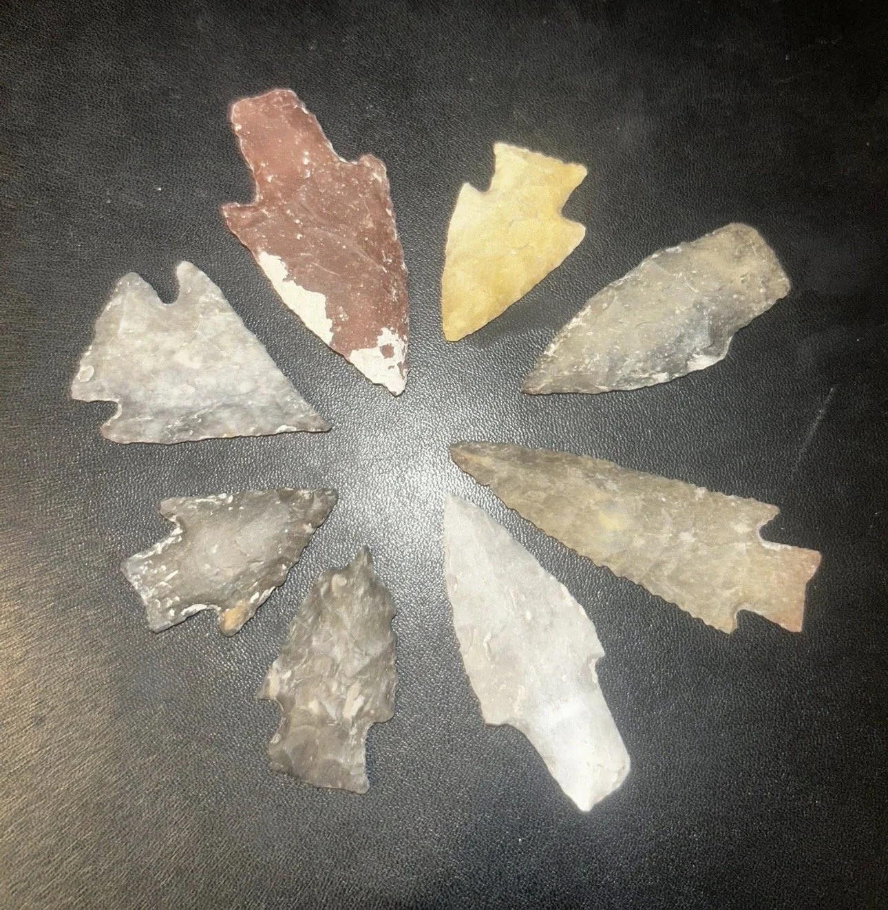 image7 (1).jpeg