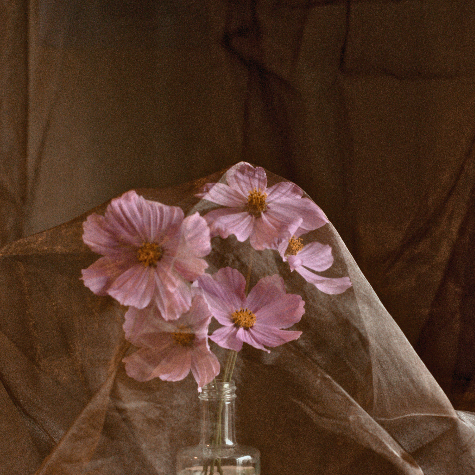 Pink flowers arranged in a bouquet in a glass vase, wrapped in brown paper, on a table with a dark background.