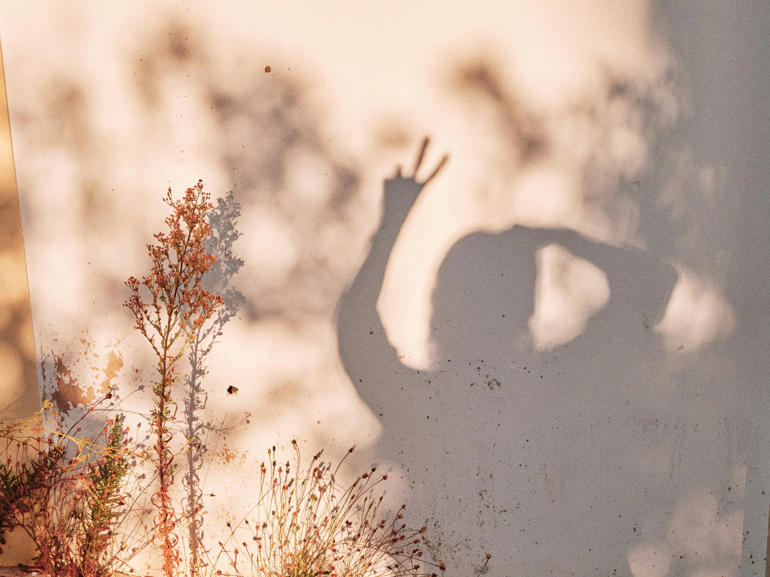 Shadows of a hand and flowers cast on a wall with a soft, beige background.