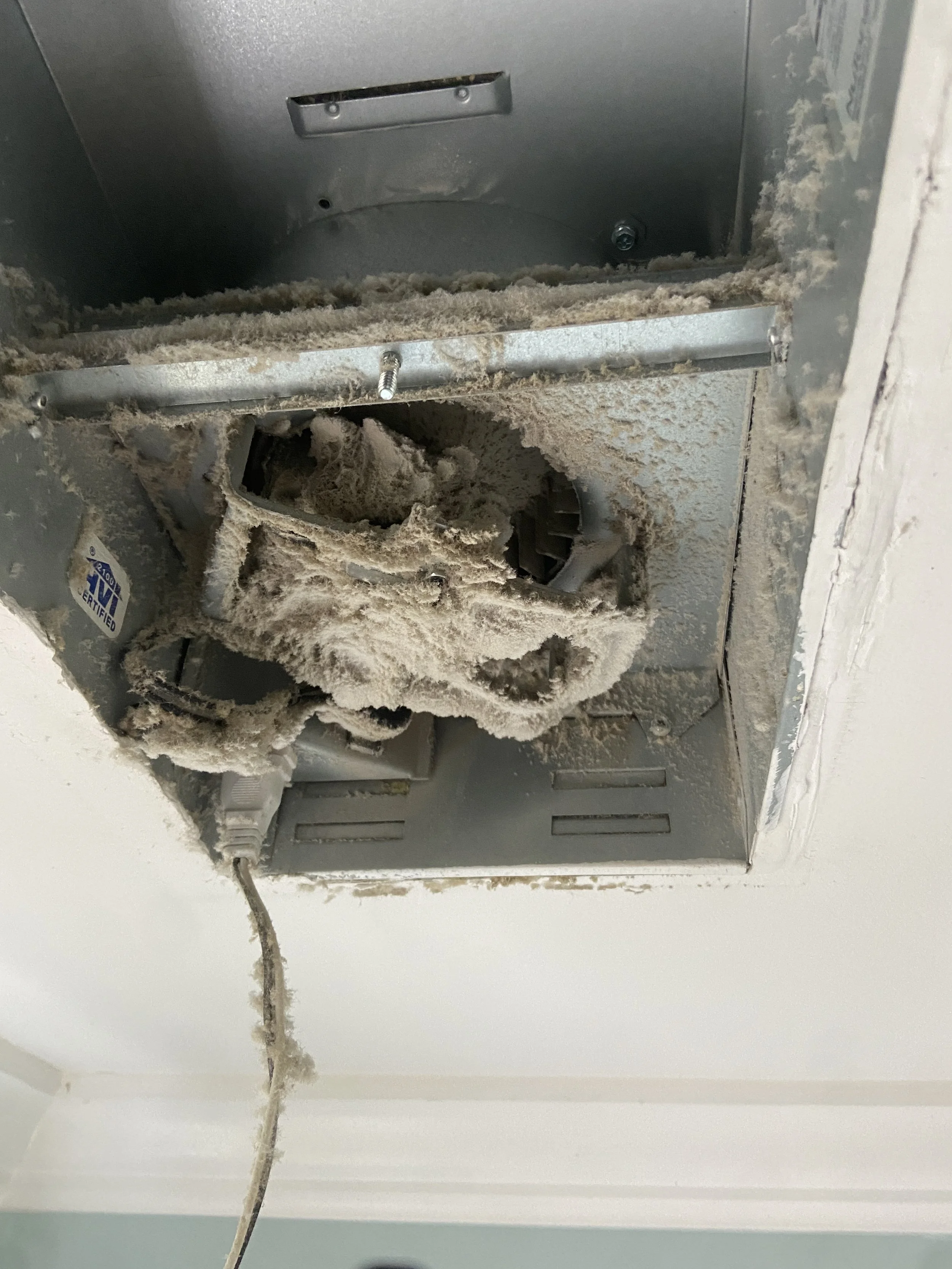 Exhaust Fan Cleaning