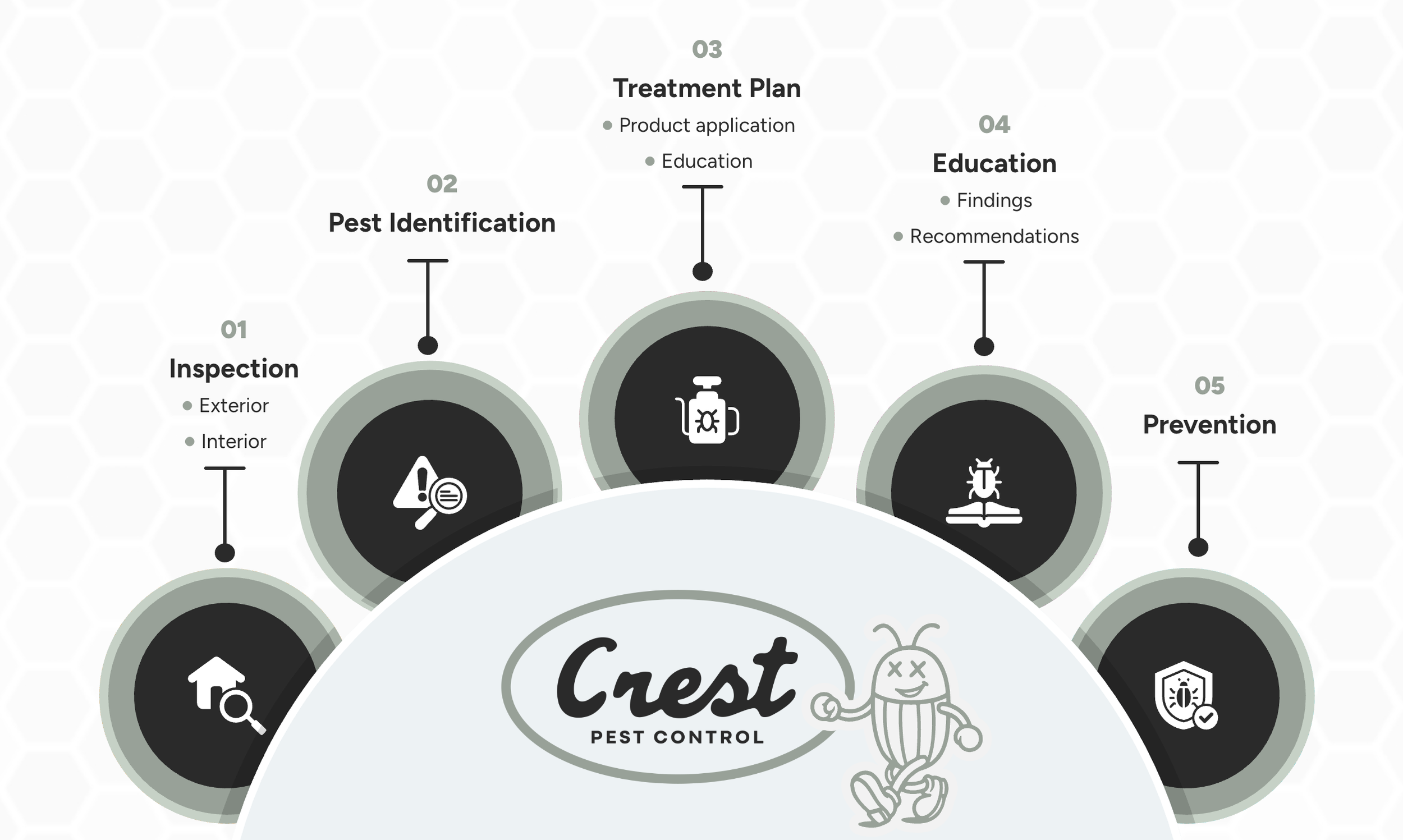 Pest control infographic outlining five steps: inspection, pest identification, treatment plan, education, and prevention, with icons representing each step.
