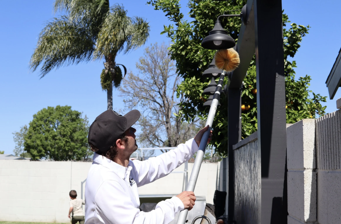 How Orange County Landscaping Attracts Ants to Your Home