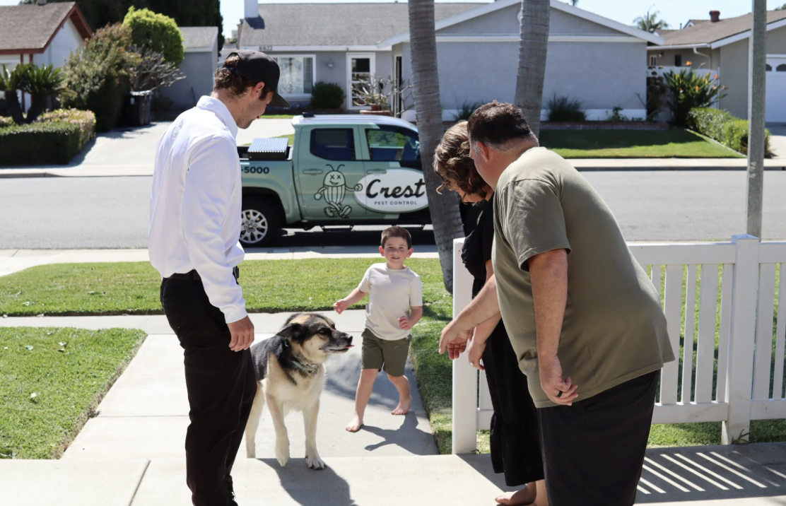 Common Entry Points Rodents Use in Newport Beach Homes