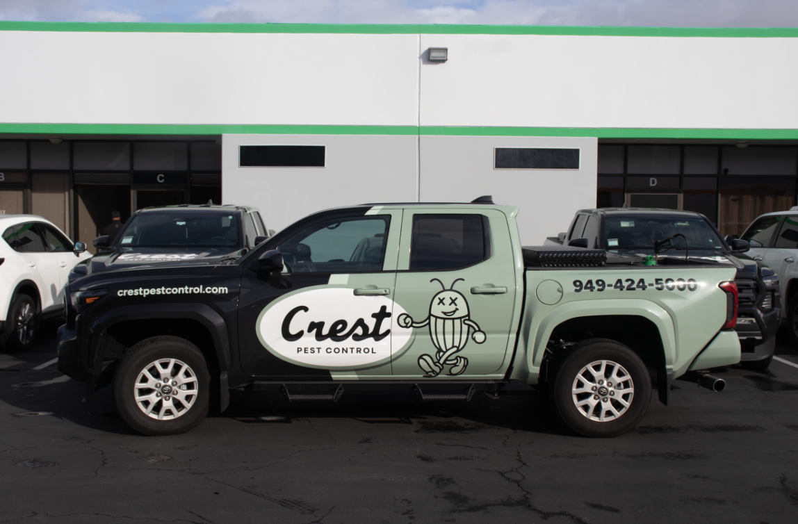 Who’s the Best Pest Control Company for Getting Rid of Spiders in Orange County?