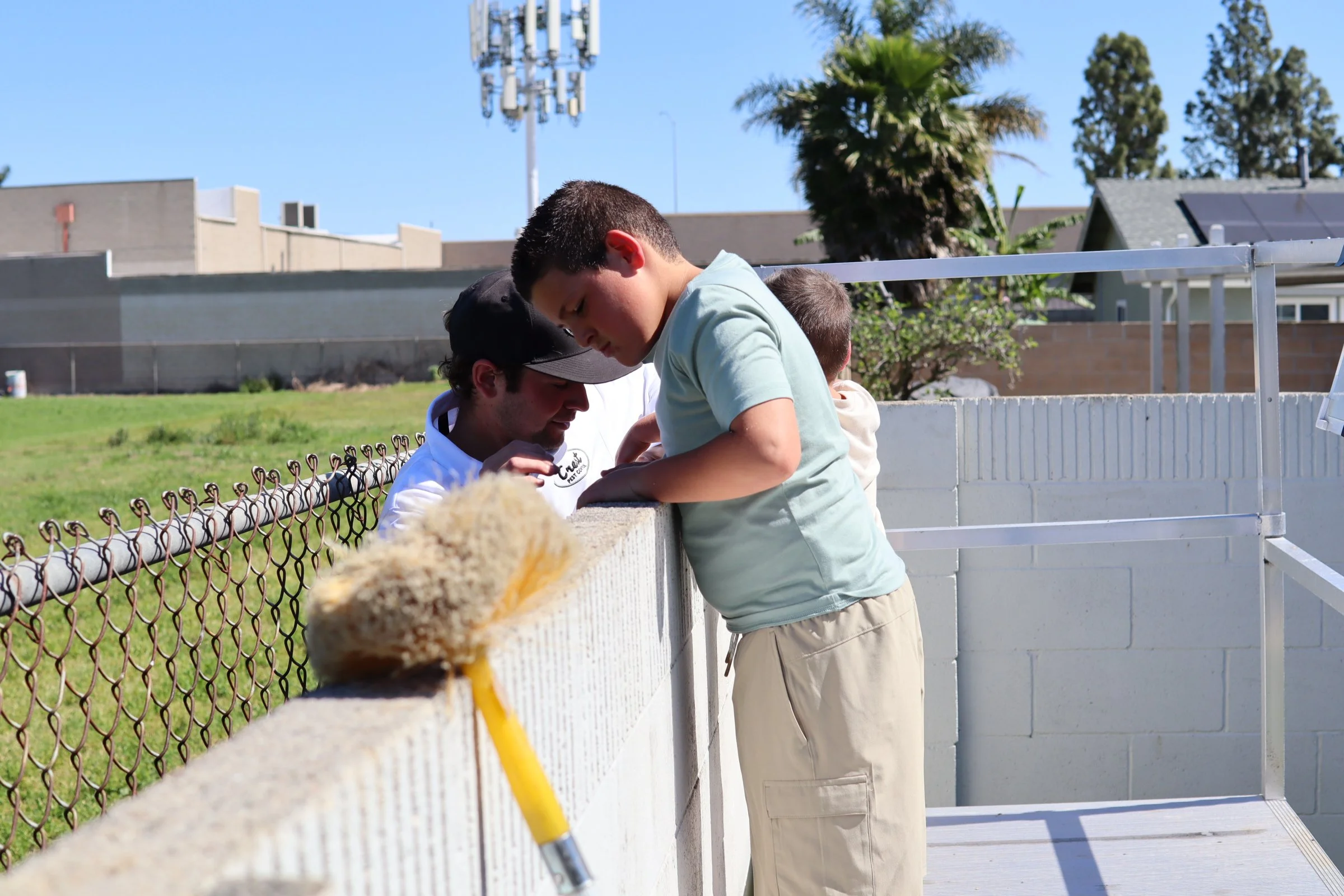 Black Widow and Brown Recluse Spiders: Are They in Newport Beach?