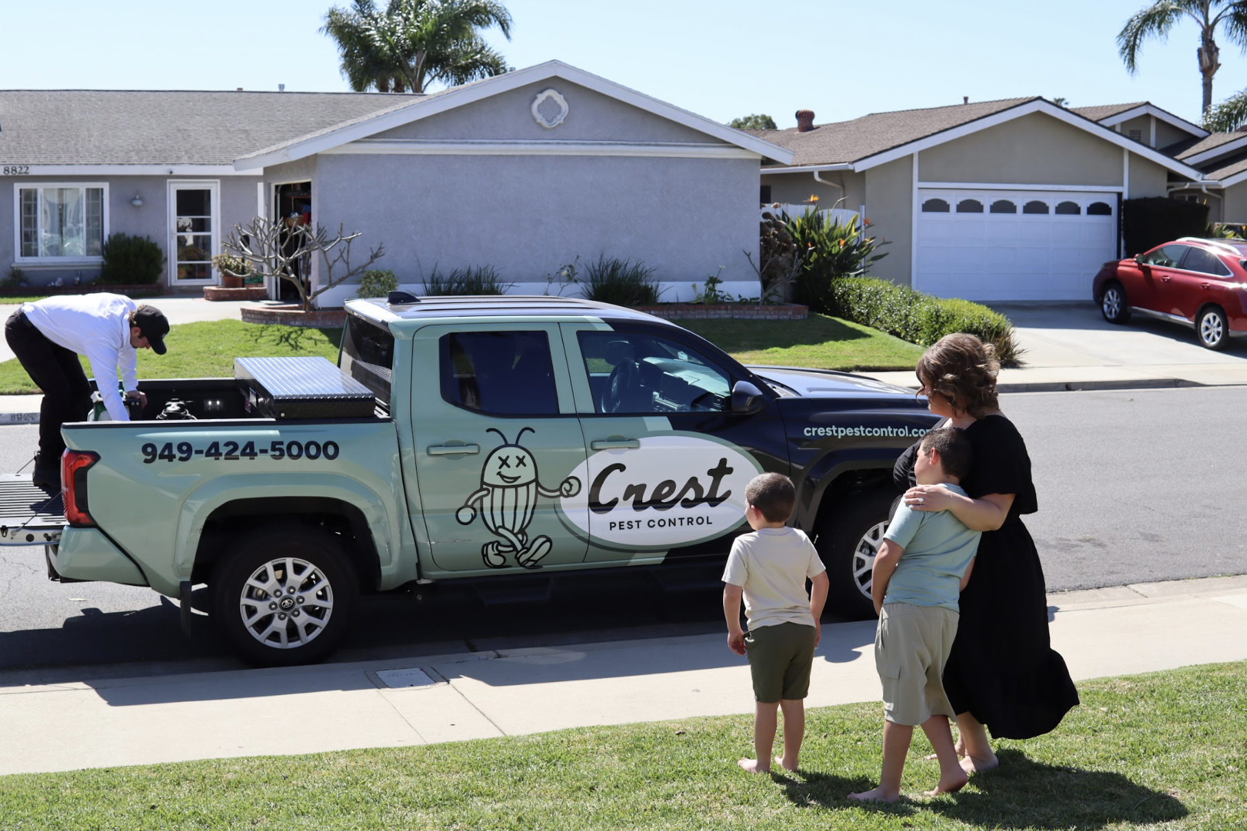 Spider Control Experts in Newport Beach