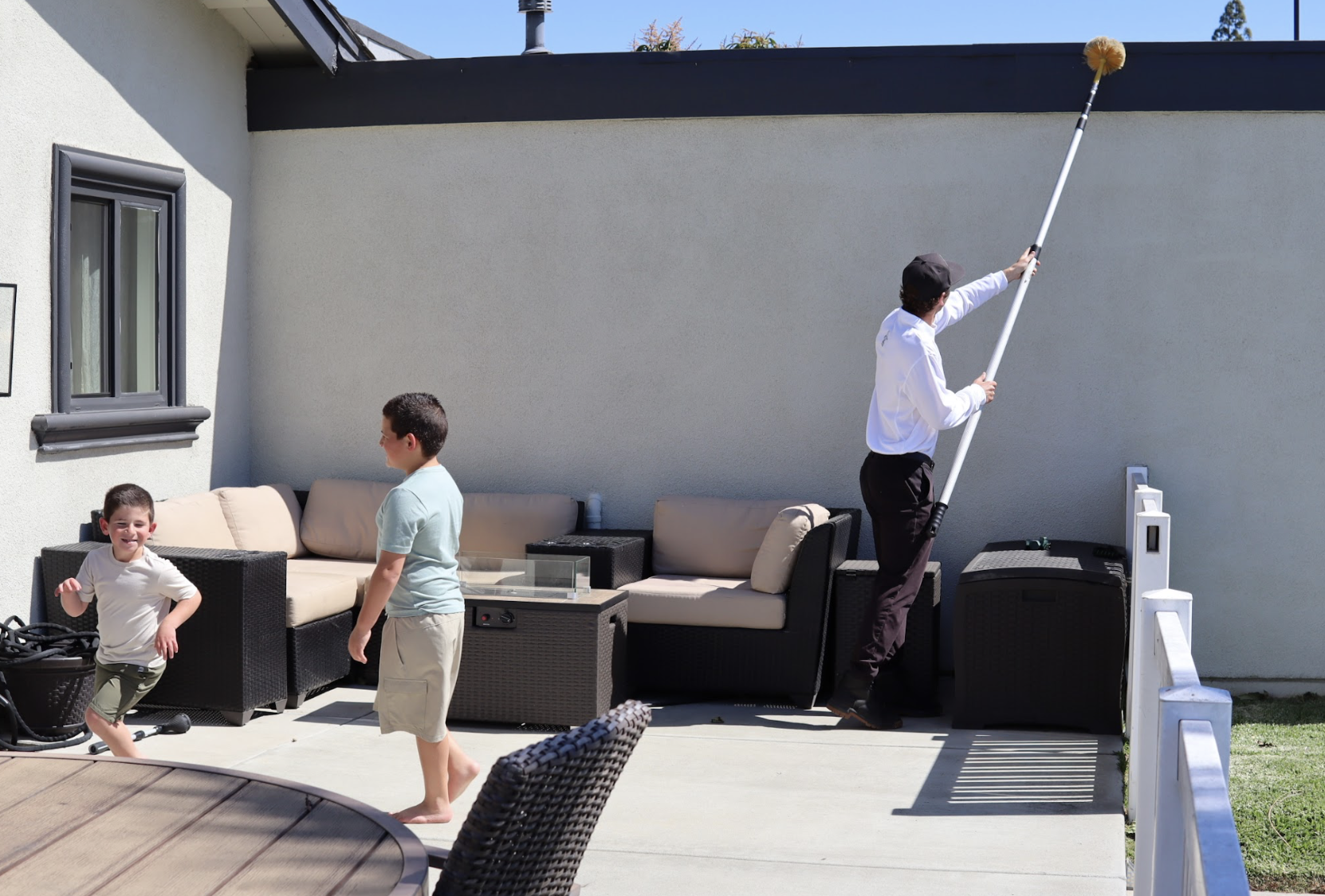 How to Spot a Wasp Nest in Your Newport Beach Home or Yard