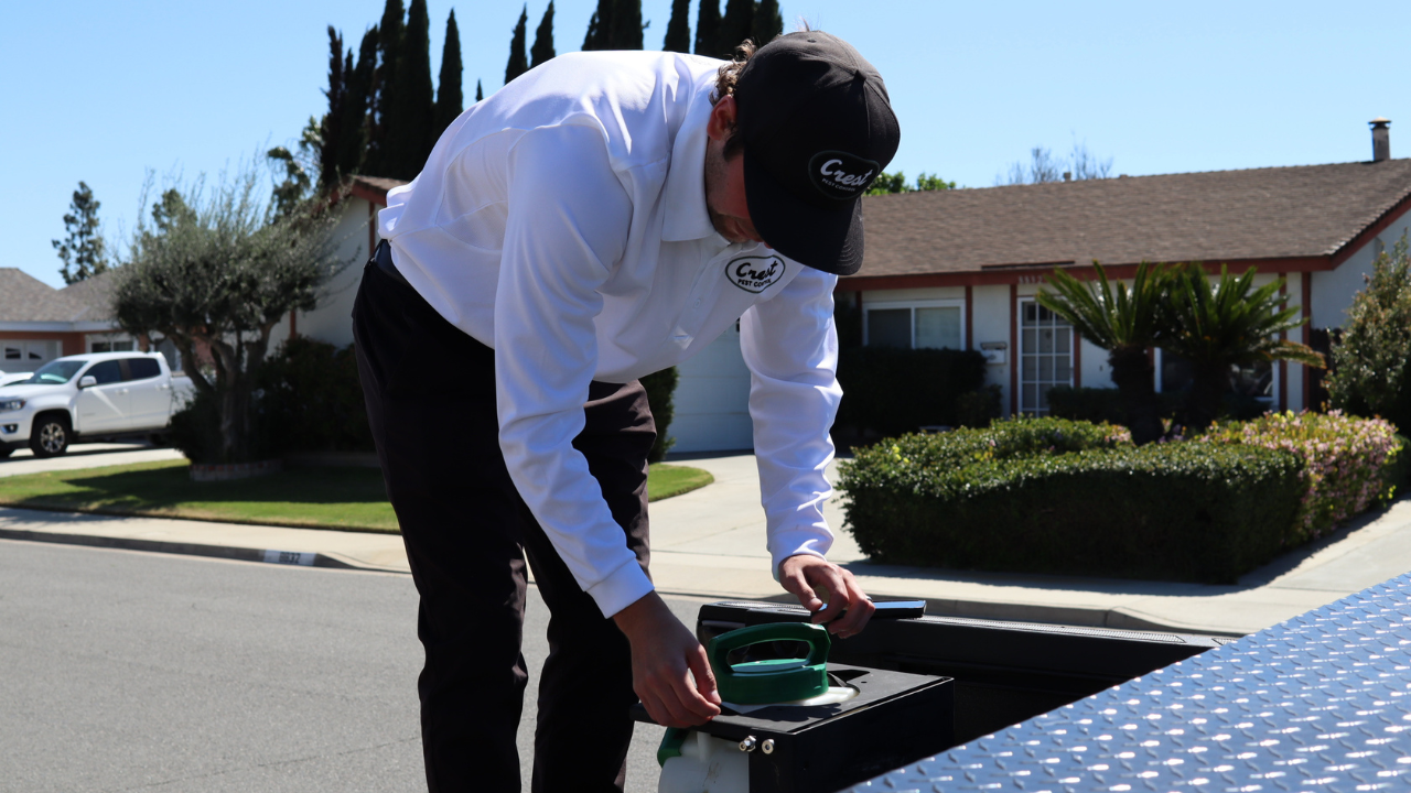 Expert Tips for Rat Control in Fountain Valley You Must Know
