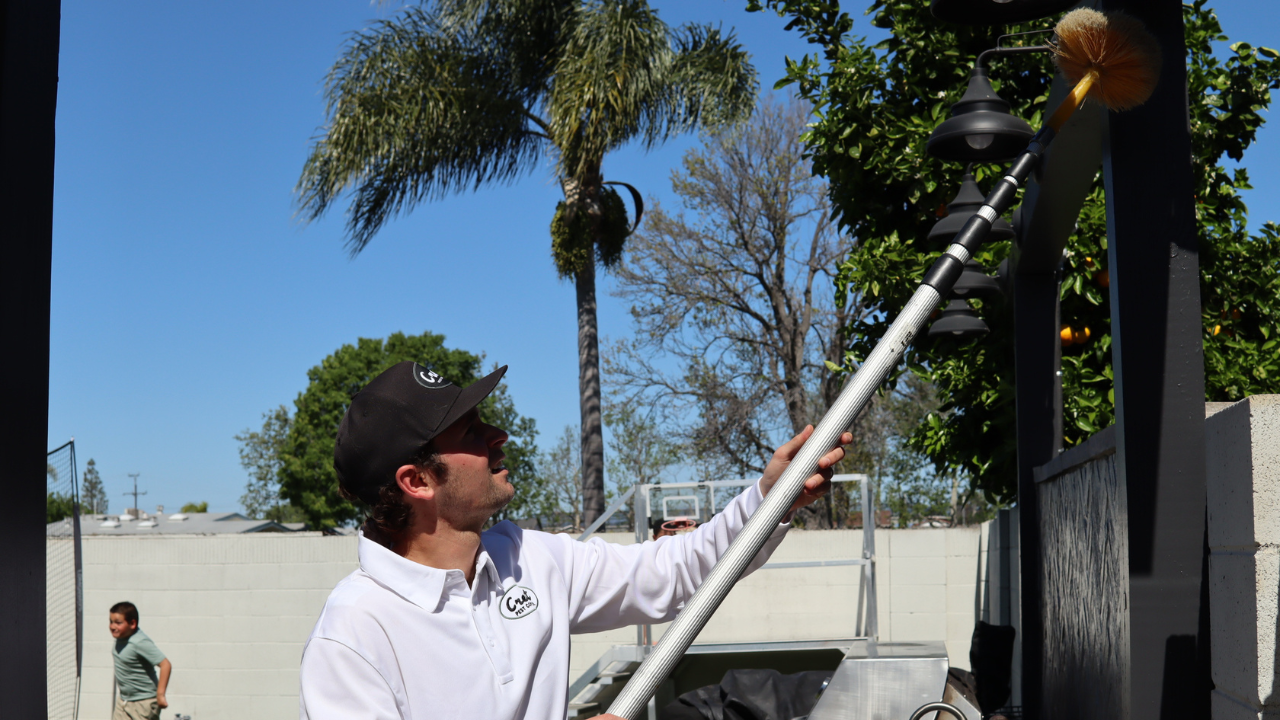Wasp Season in Orange County: How to Stay Ahead of Summer Nests