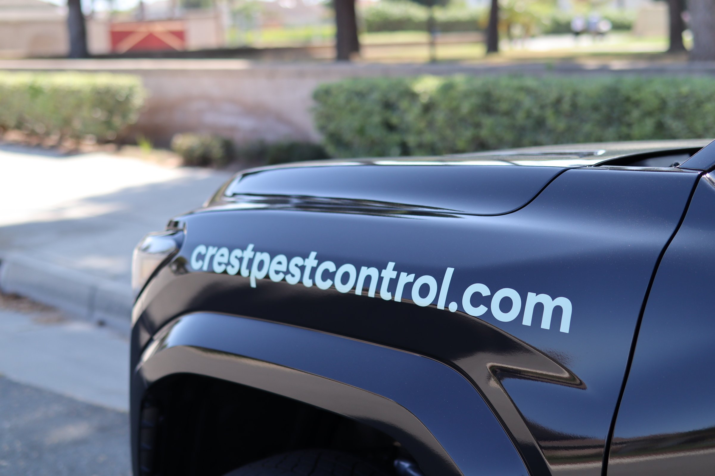What Orange County Businesses Should Expect From Commercial Pest Control