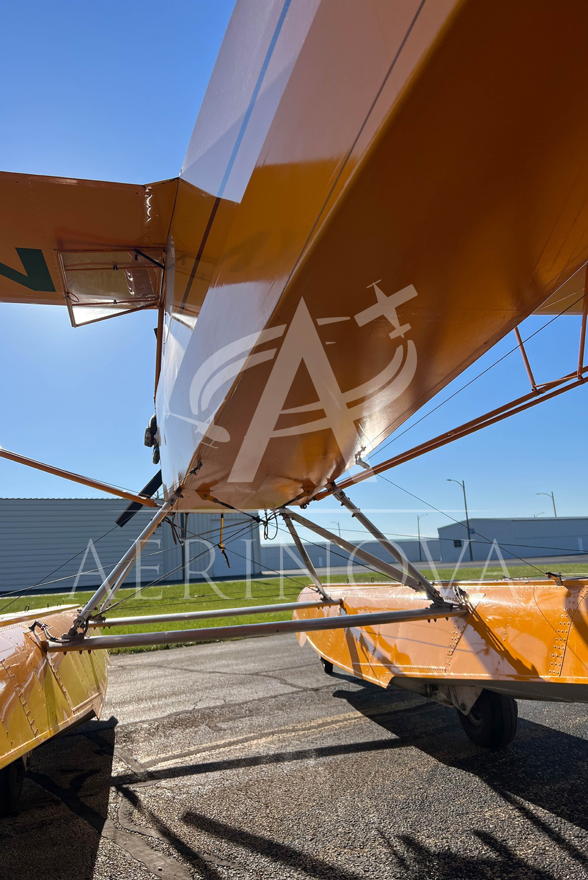BellyN48642_watermark.jpg