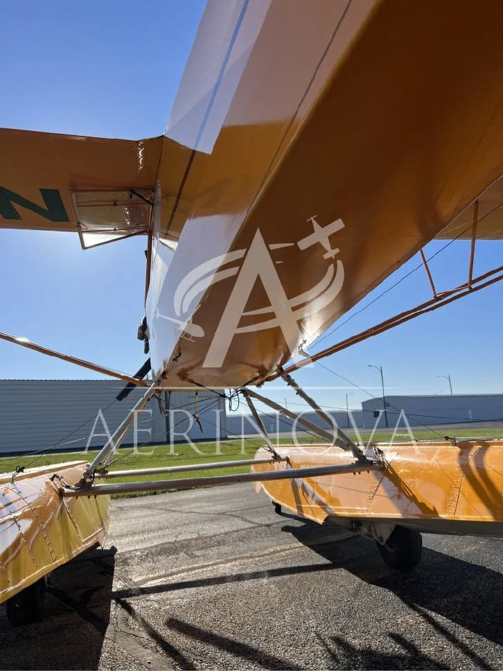 BellyN48642_watermark.jpg