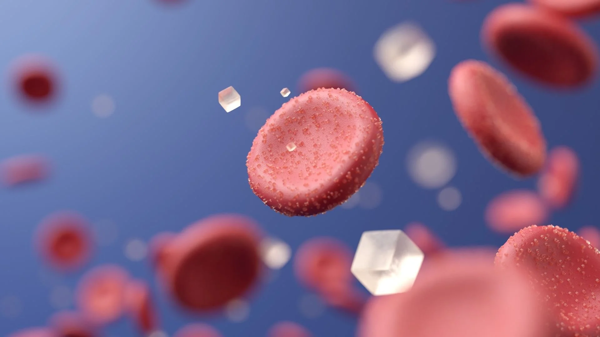 What Is Insulin Resistance — And Why Is It Hiding in Your Labs?