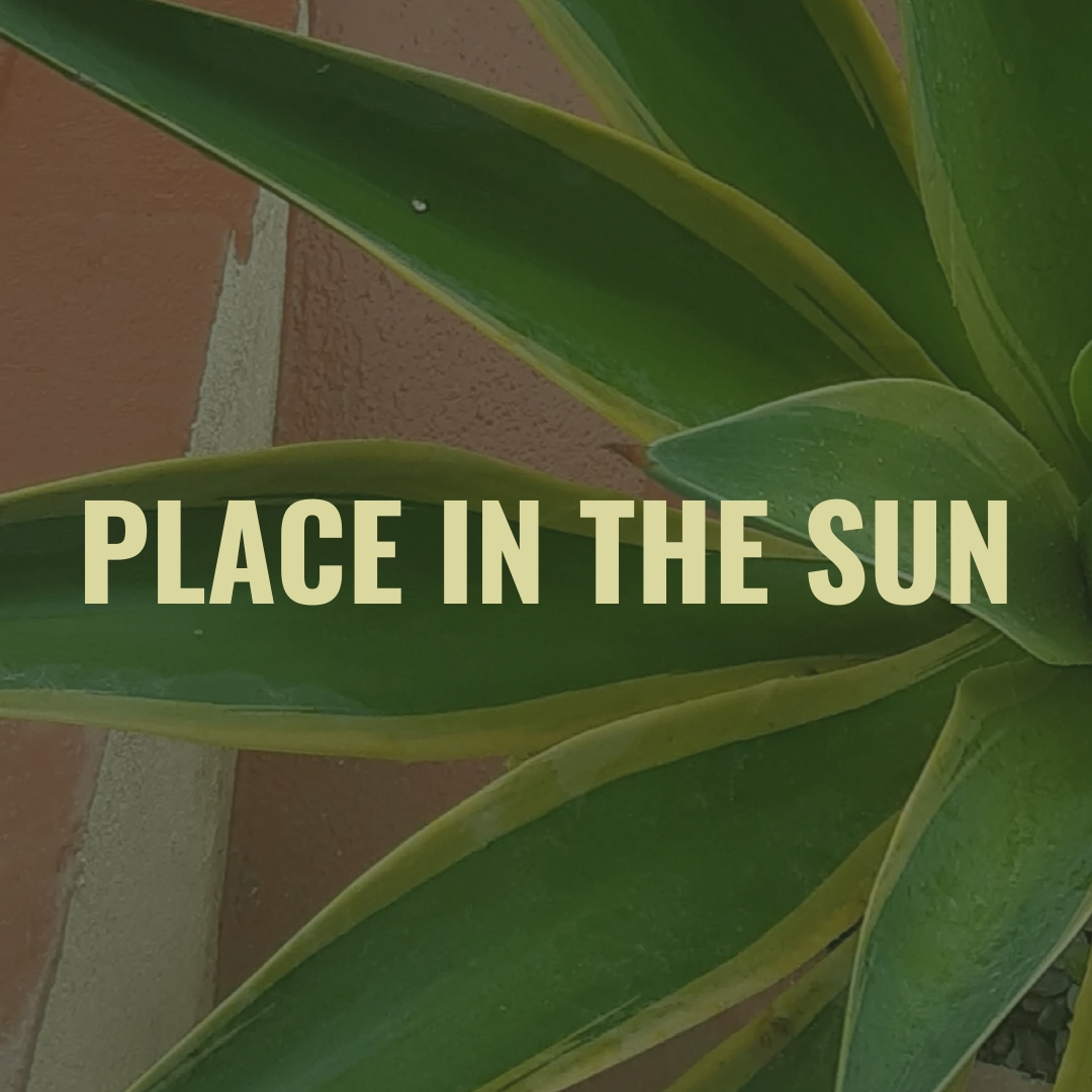 Close-up of green and yellow variegated plant leaves with text overlay saying 'Place in the Sun'.