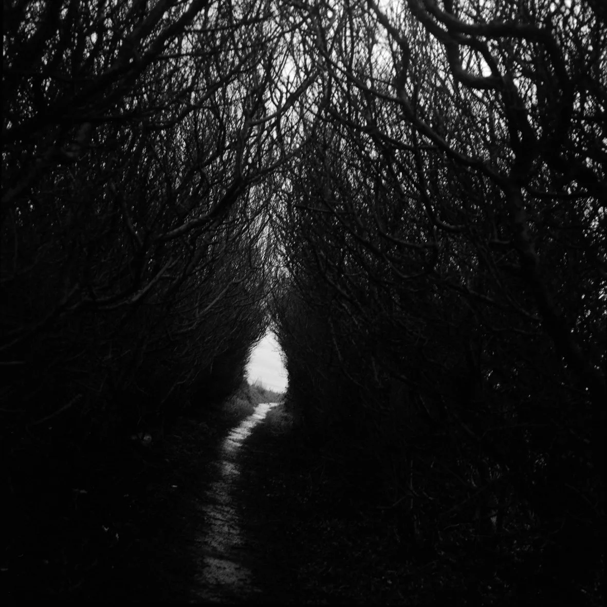 Saint-Aubin-sur-mer 29/12/01