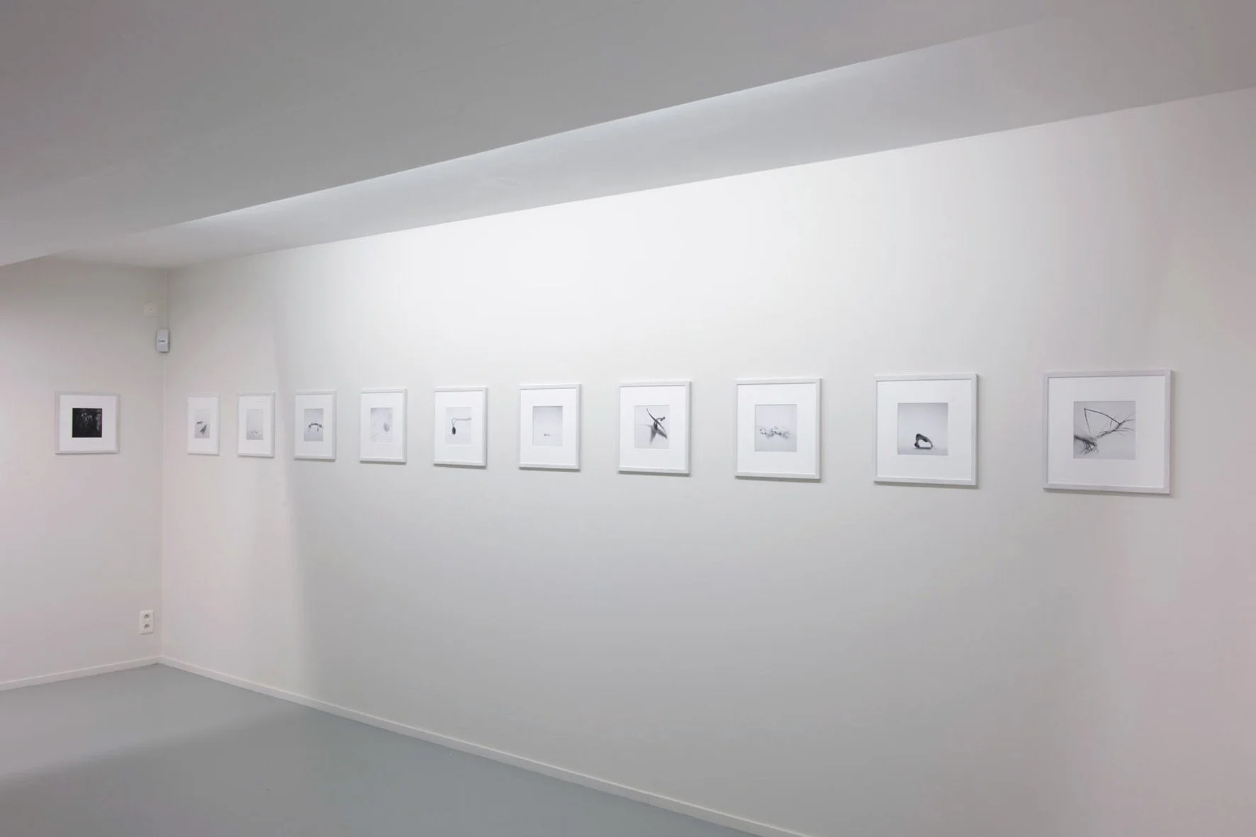 Galerie Triangle bleu Stavelot 2009