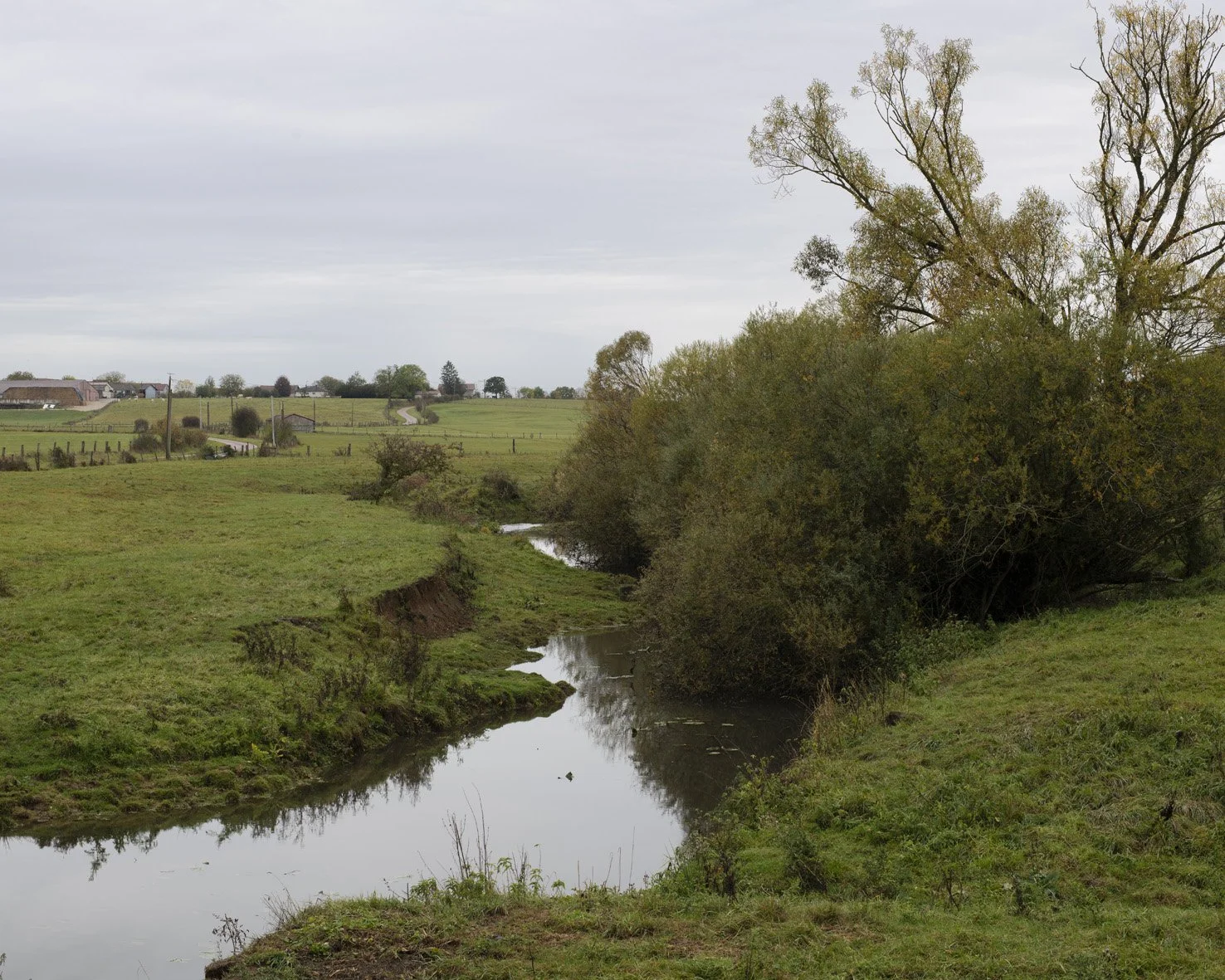 Lenizeul (F) 23/10/23