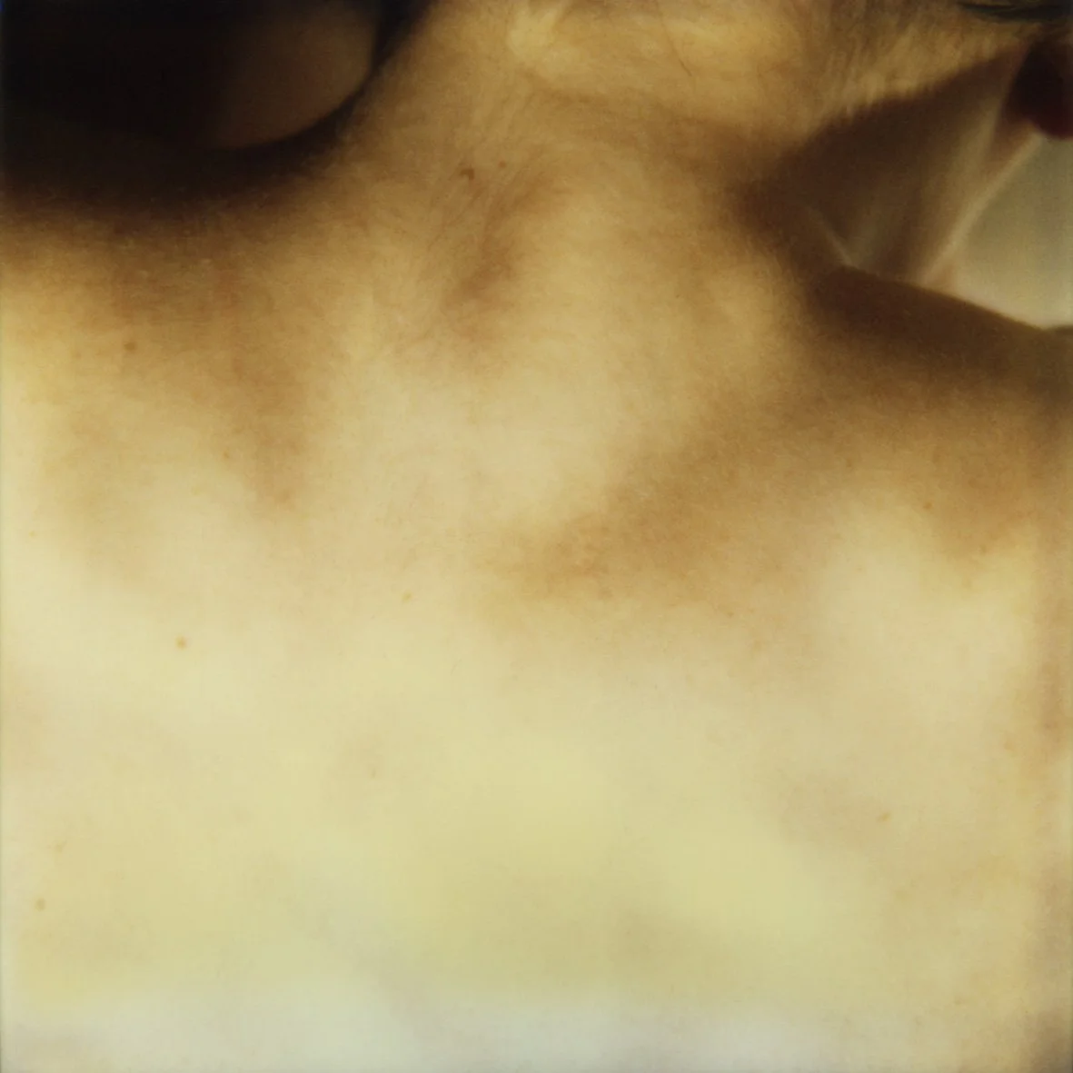polaSX70-12, 1985