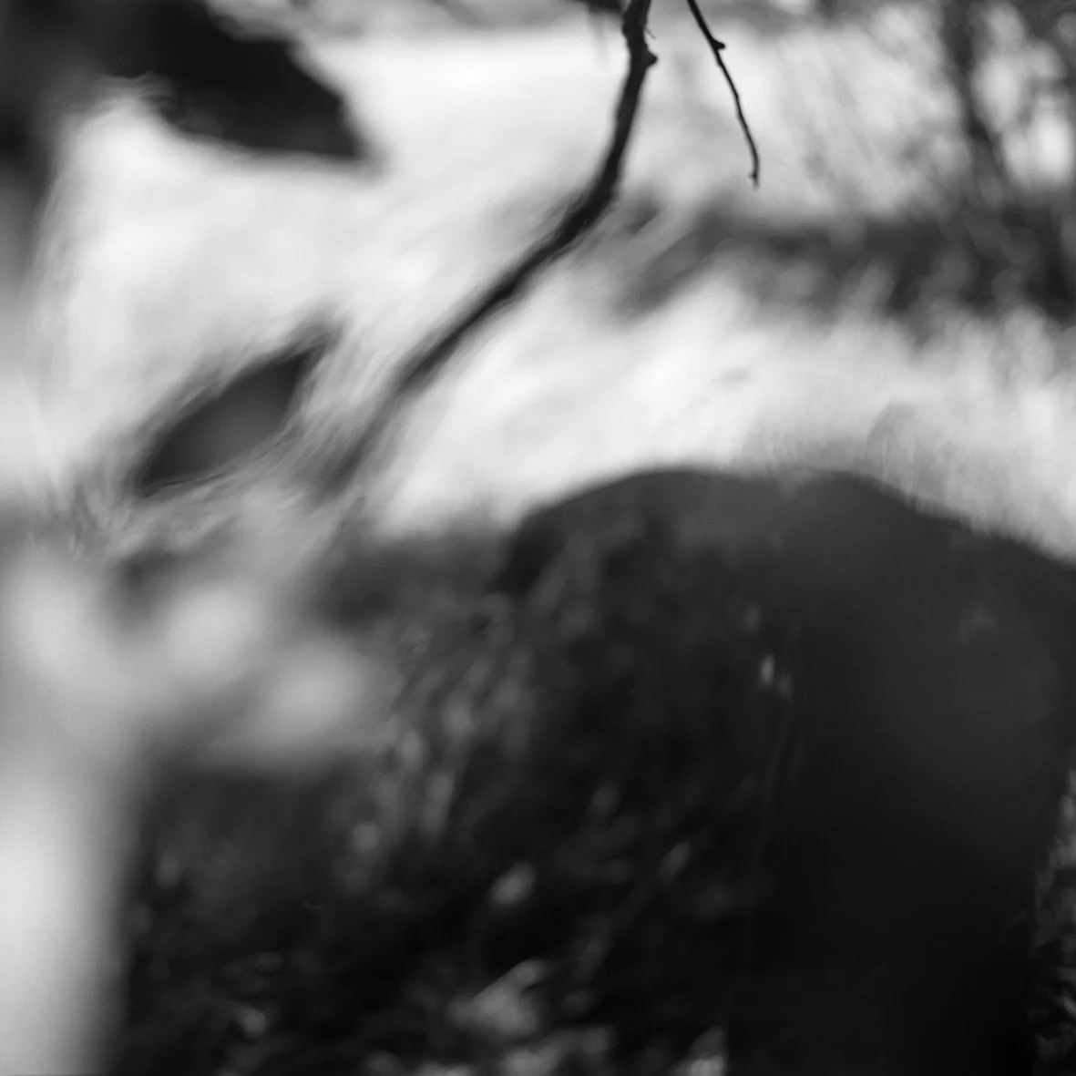 Picos de Europa 07/96