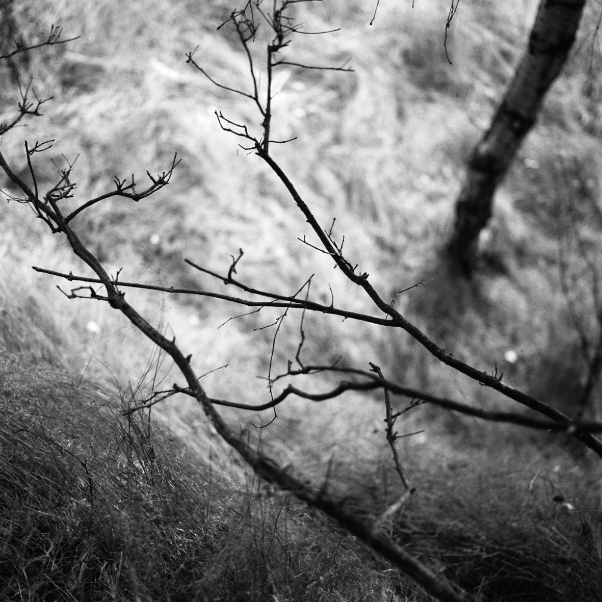 Thier-à-Liège 09/08/88