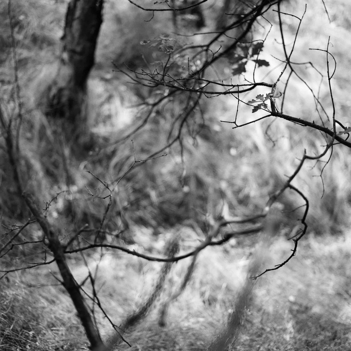 Thier-à-Liège 09/08/88