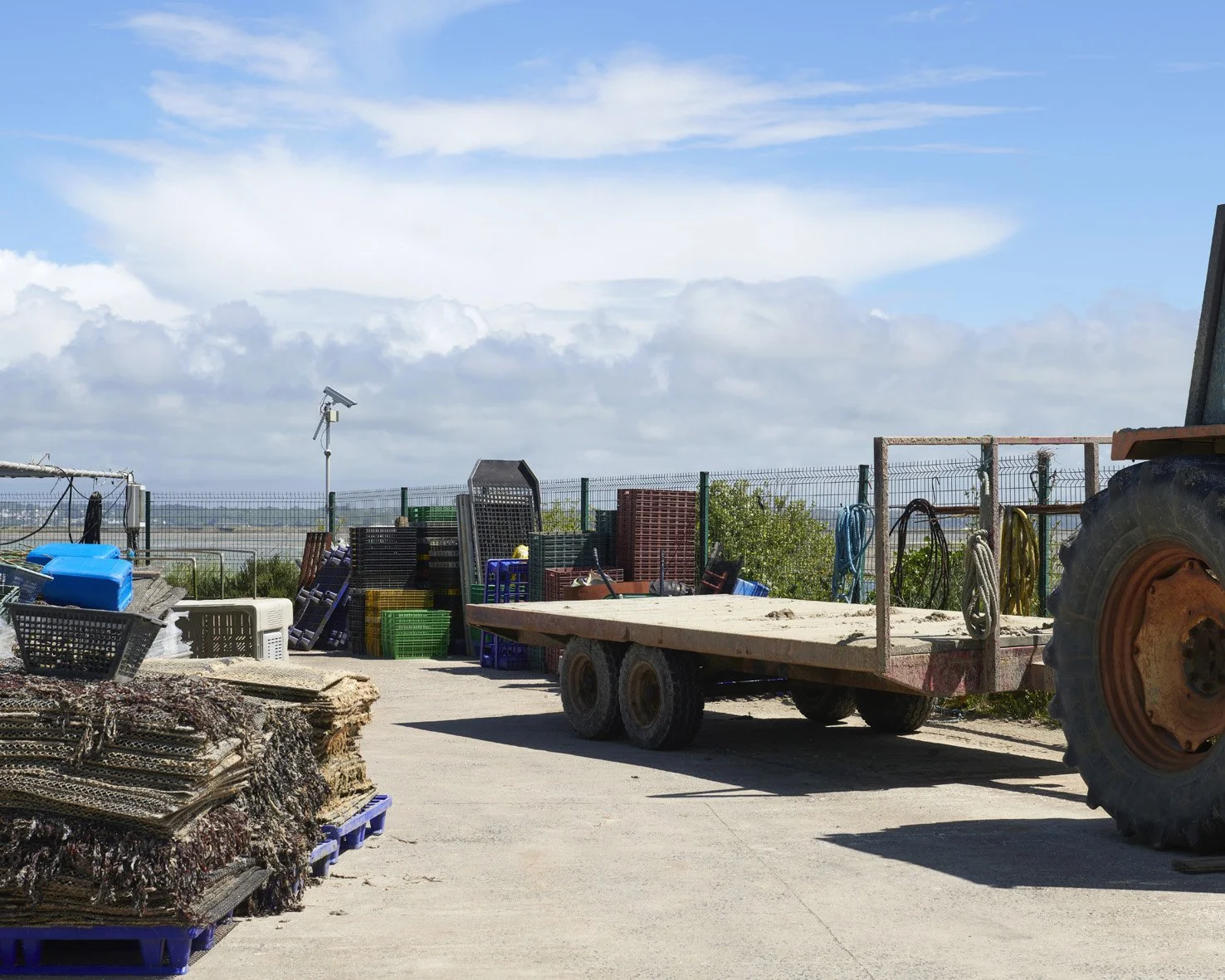 © alain janssens_4844_0011.jpg