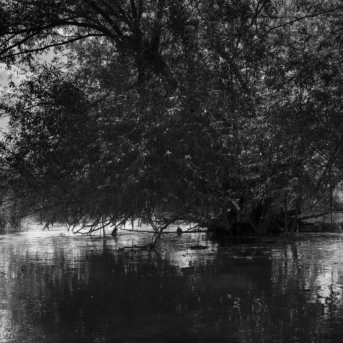 Belleville-sur-Meuse 24/06/24