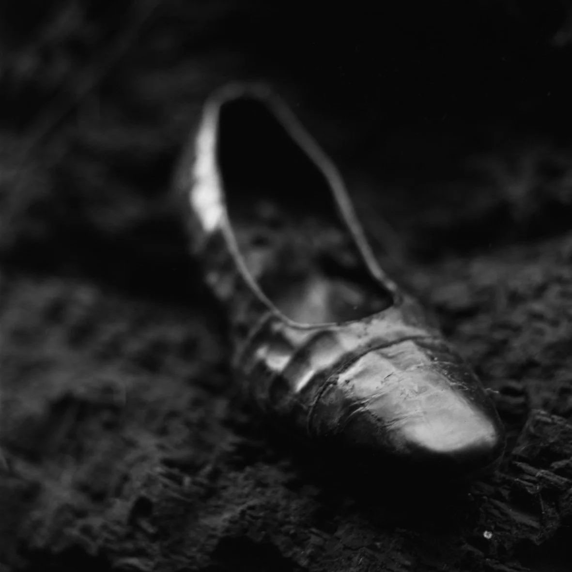 Focus - Pascal Goffaux - Ω