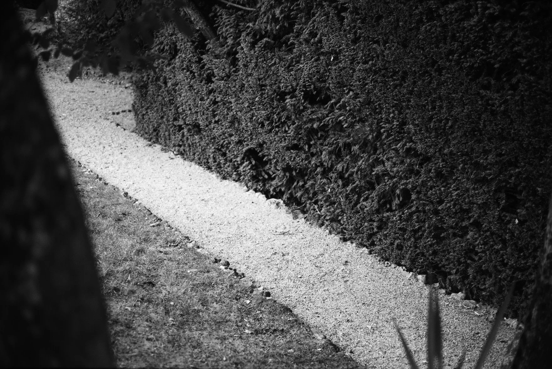 Iliers Combray 13/07/10