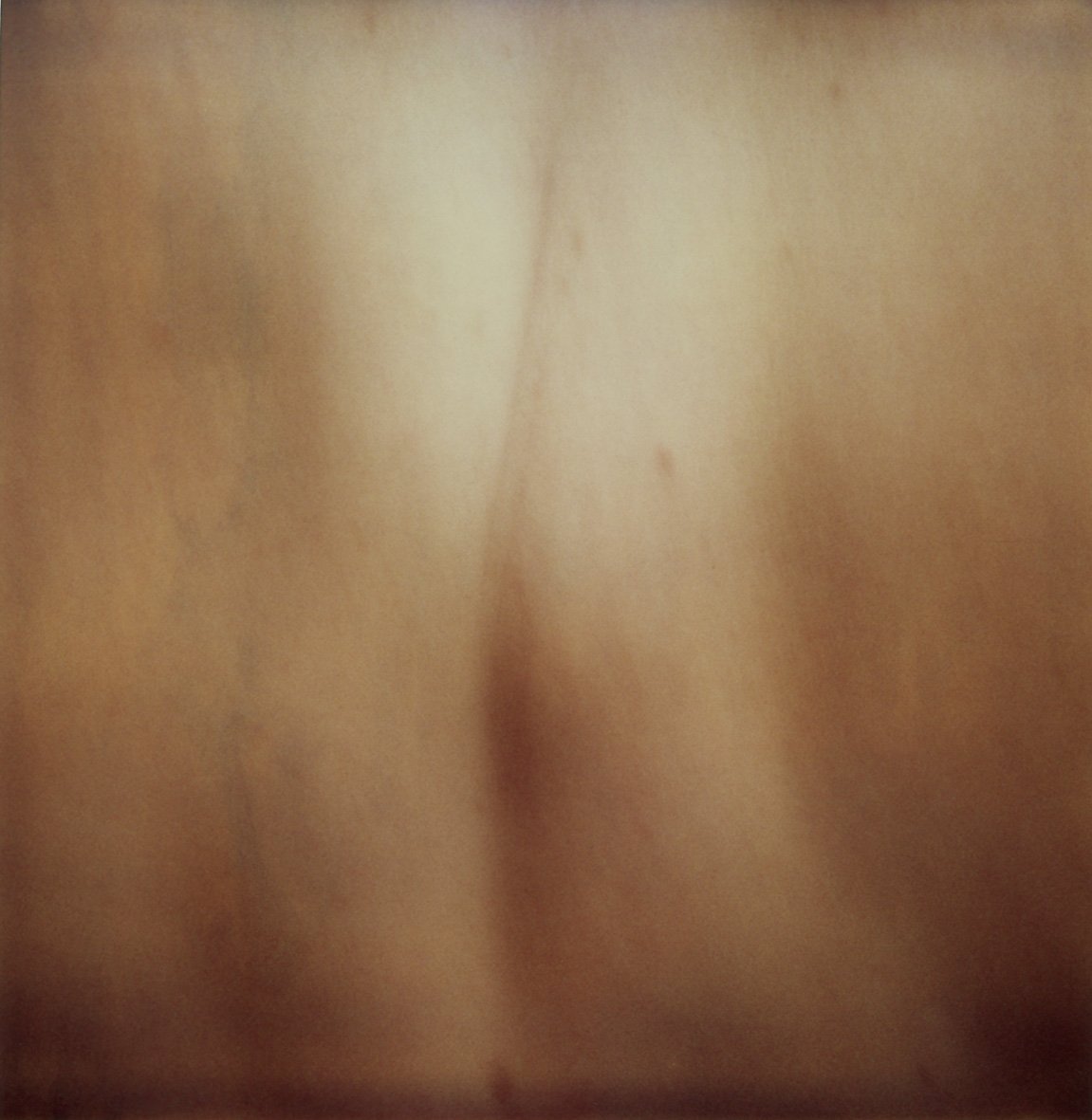 pola SX70-013, 1985