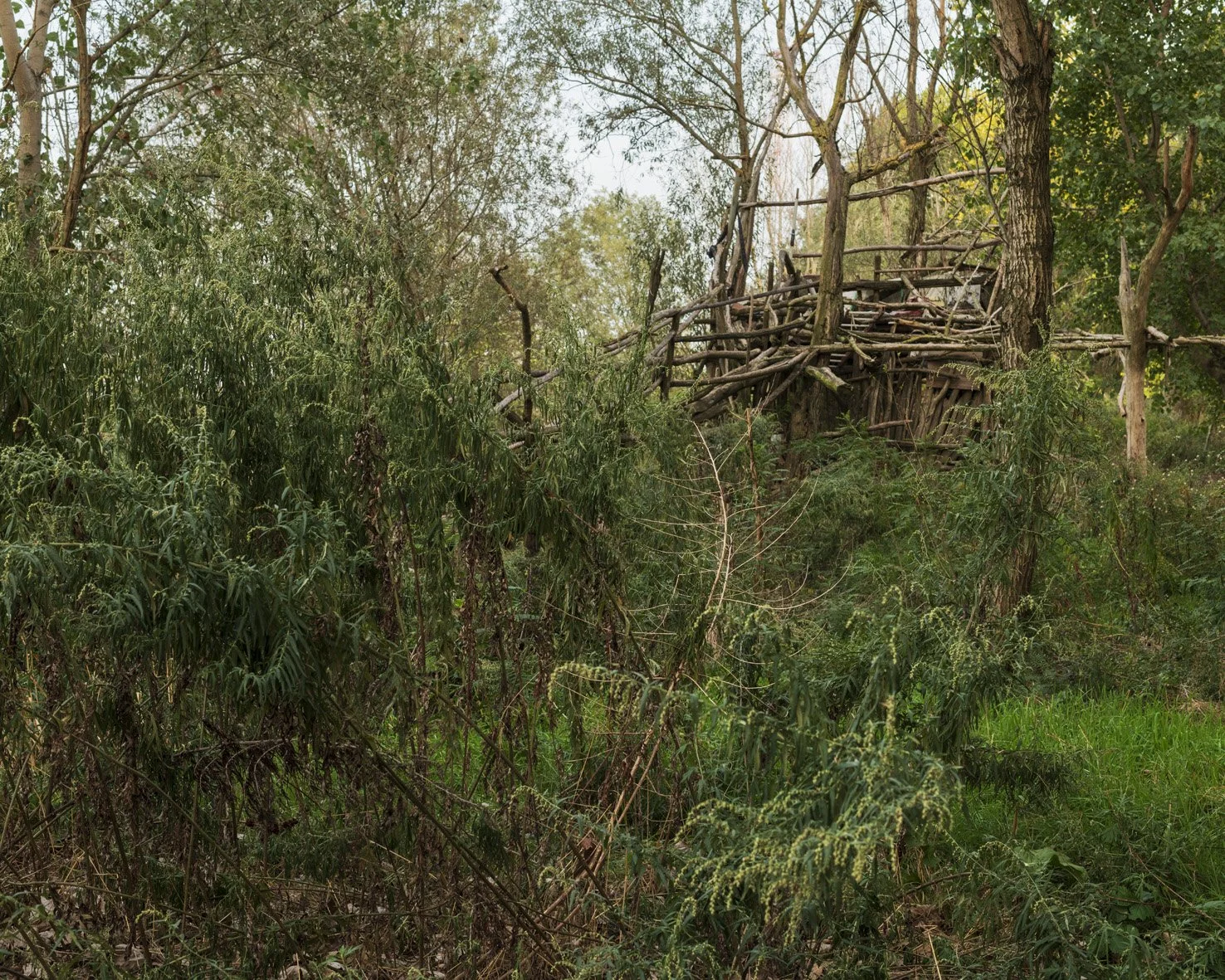 Boretto_,Alberto Manotti, Re Del Po 17/10/23